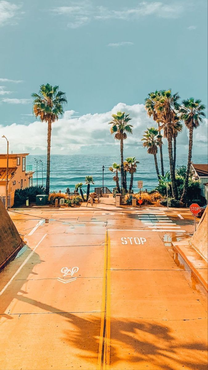 Palmen, Straße, Meer, Sonnenlicht, Vintage-Filter, Hintergrundbild für iPhone und Android