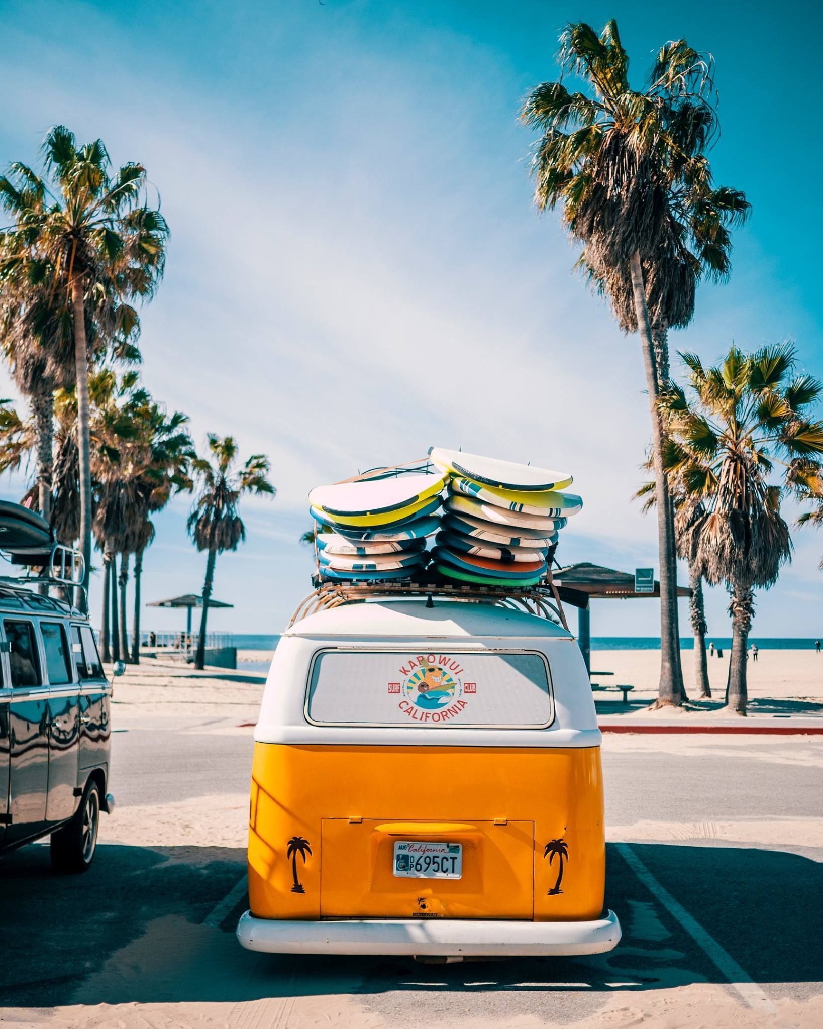 VW-Bus, Surfbretter, Palmen, Strand, Sommer, QHD+, Hintergrundbild fürs Tablet