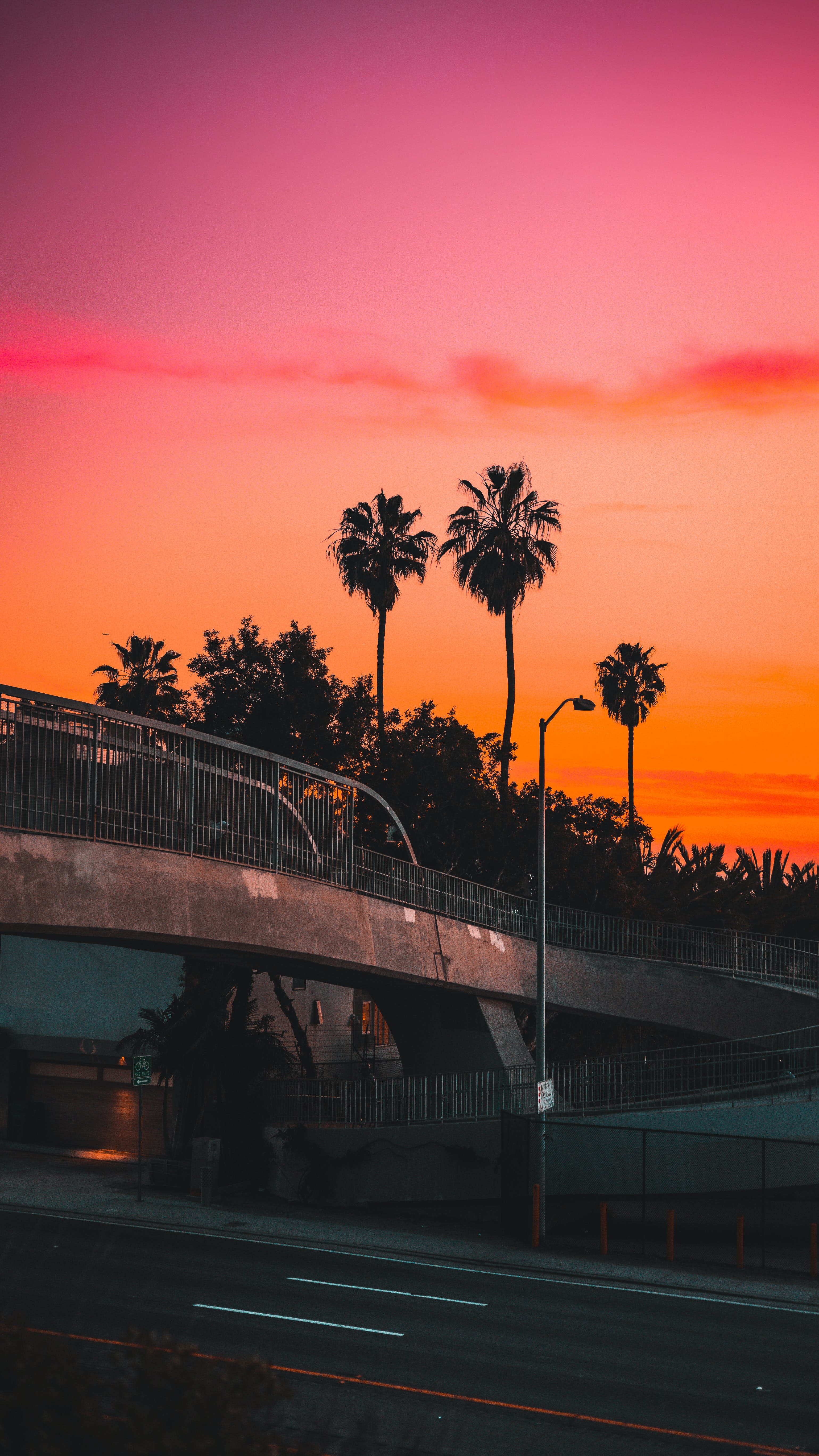 Palmen, Sonnenuntergang, Brücke, Silhouetten, Pink-orange, QHD+, iPhone-Hintergrundbild
