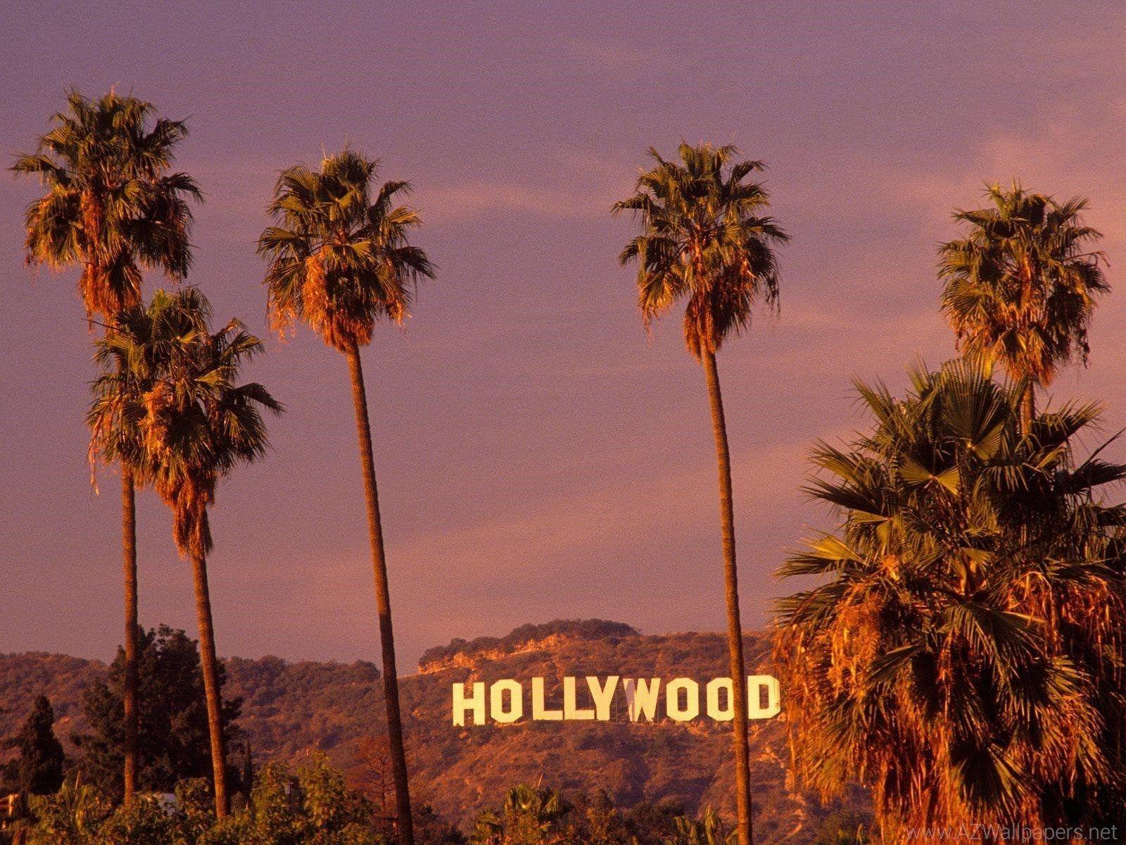 Hollywood Sign, Los Angeles, Palmen, Abendlicht, Hügel, HD, Hintergrundbild fürs Tablet