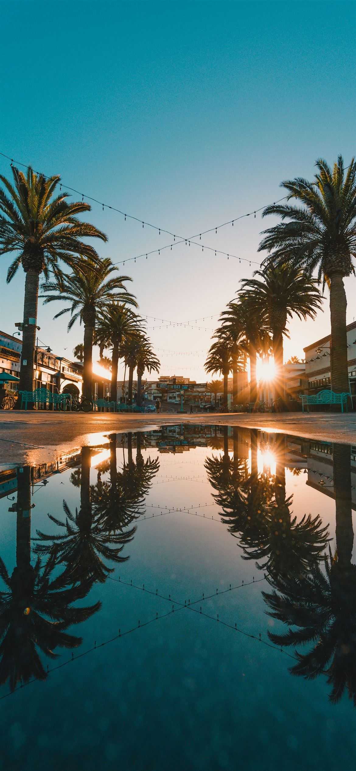Palmen, Spiegelung, Wasser, Sonnenuntergang, Symmetrie, Full HD, Hintergrundbild fürs Handy