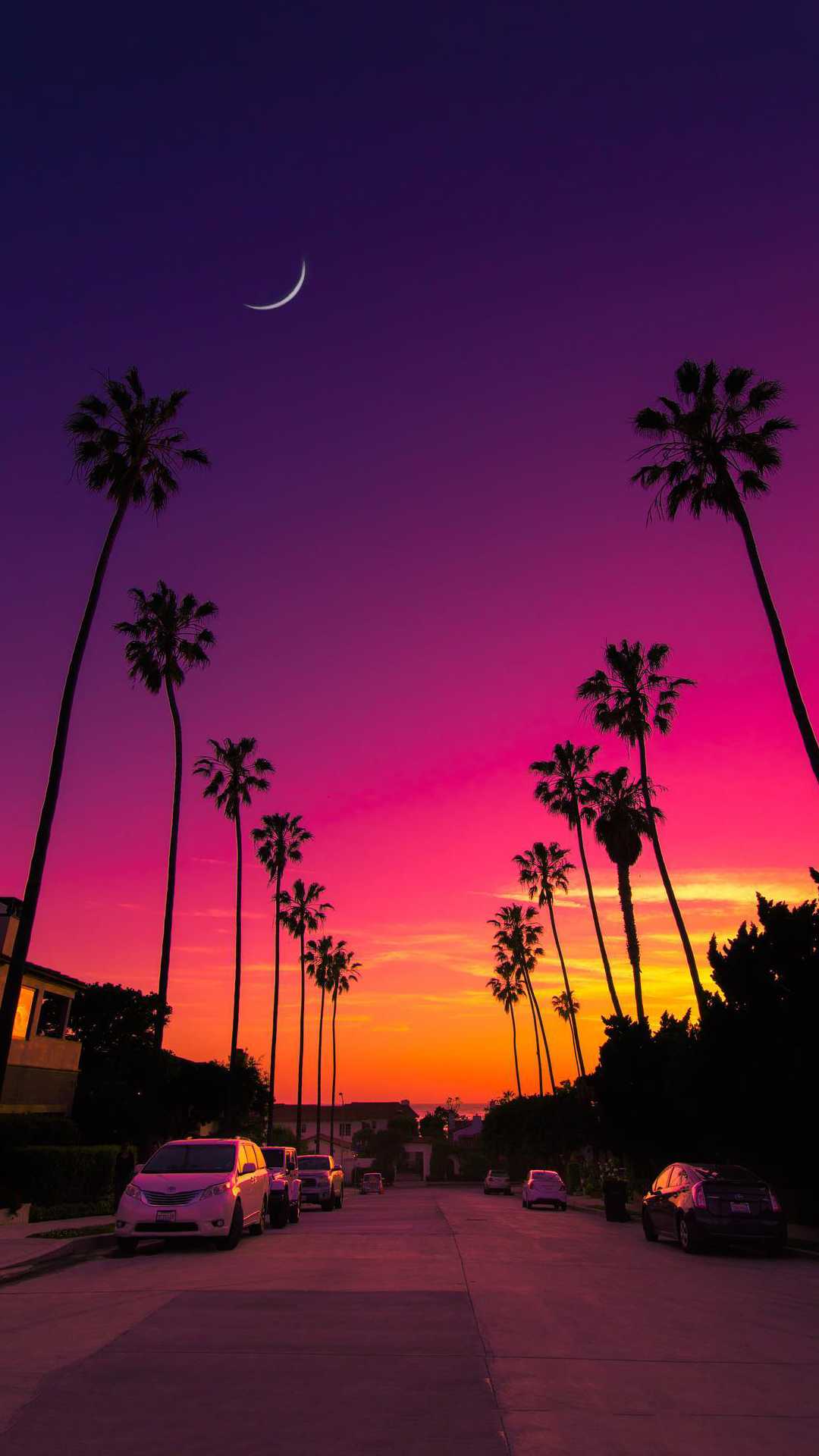 Palmen, Mondsichel, Pinker Himmel, Straße, Abenddämmerung, 1080x1920, Handy-Hintergrund