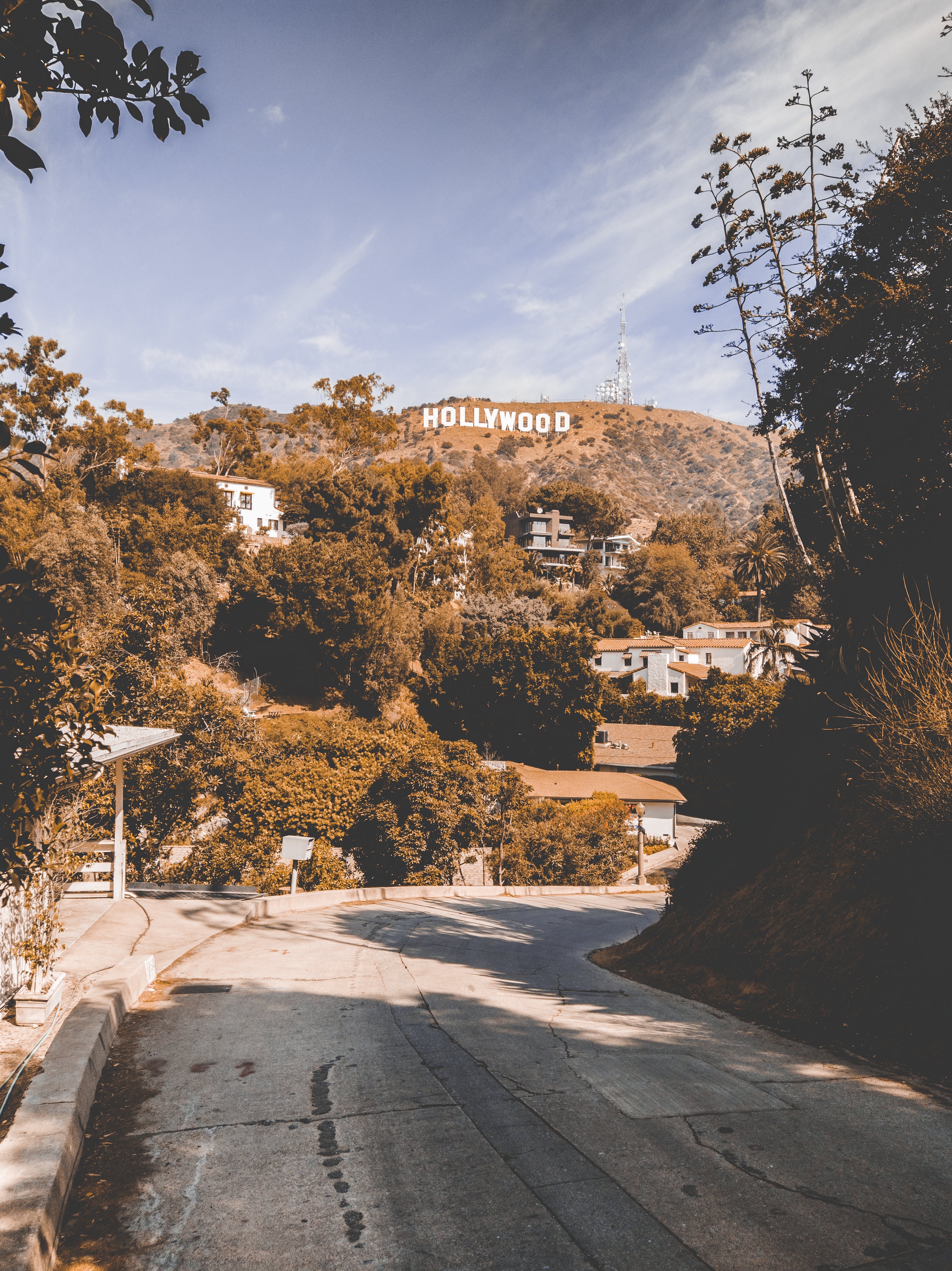 Hollywood Sign, Hollywood Hills, Straße, Bäume, Sommer, Hintergrundbild für iPad und Tablet