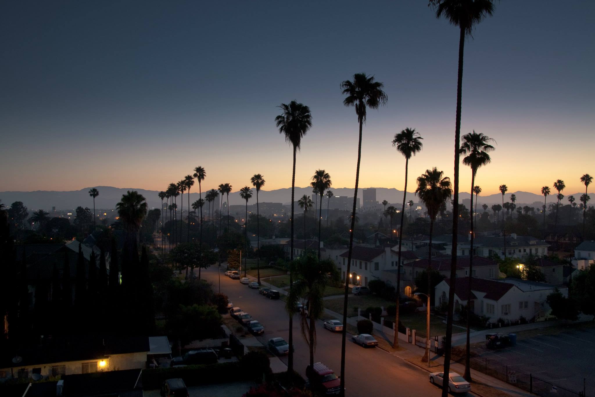 Palmen, Silhouetten, Abenddämmerung, Stadt, Los Angeles, Full HD, Windows-Hintergrundbild