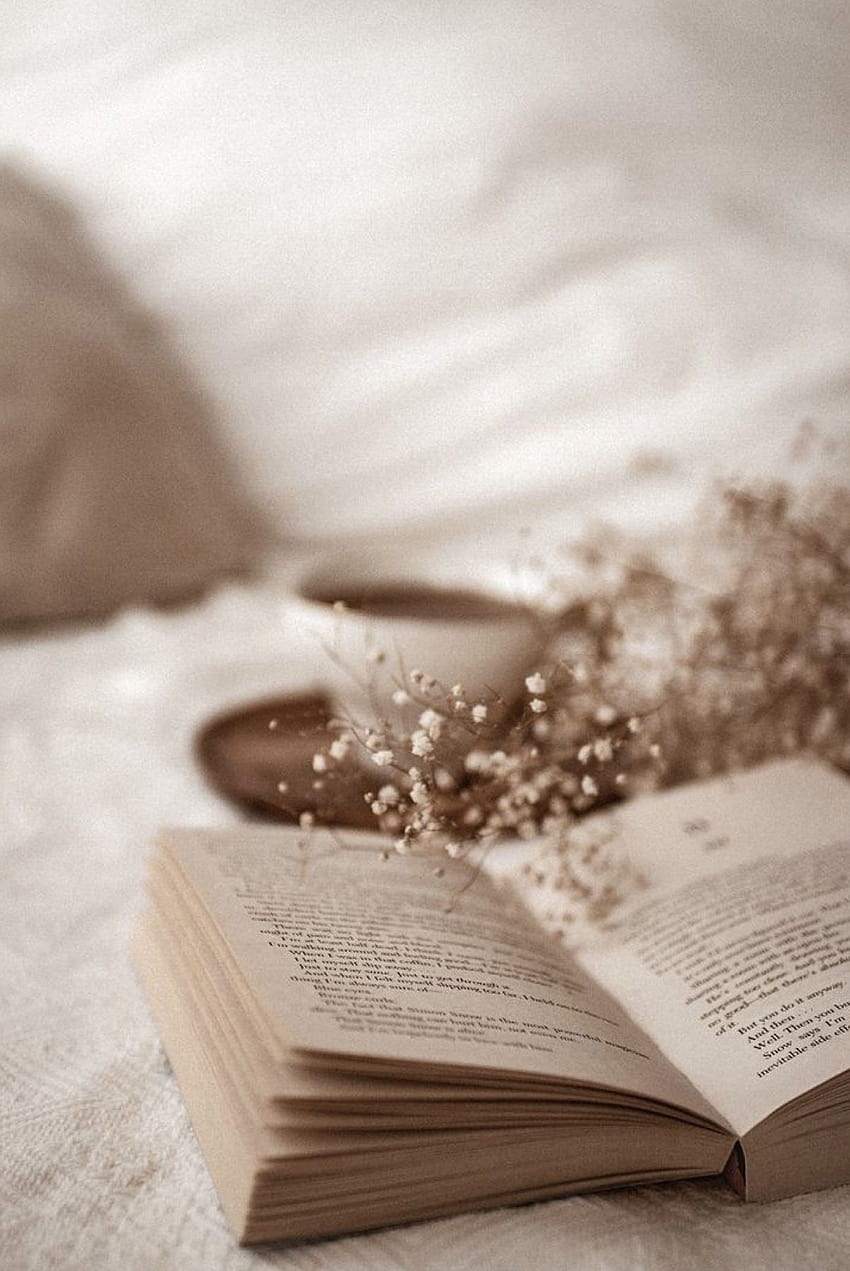 Offenes Buch, Trockenblumen, Bett, Gemütlich, Beige, HD, Hintergrundbild fürs Tablet