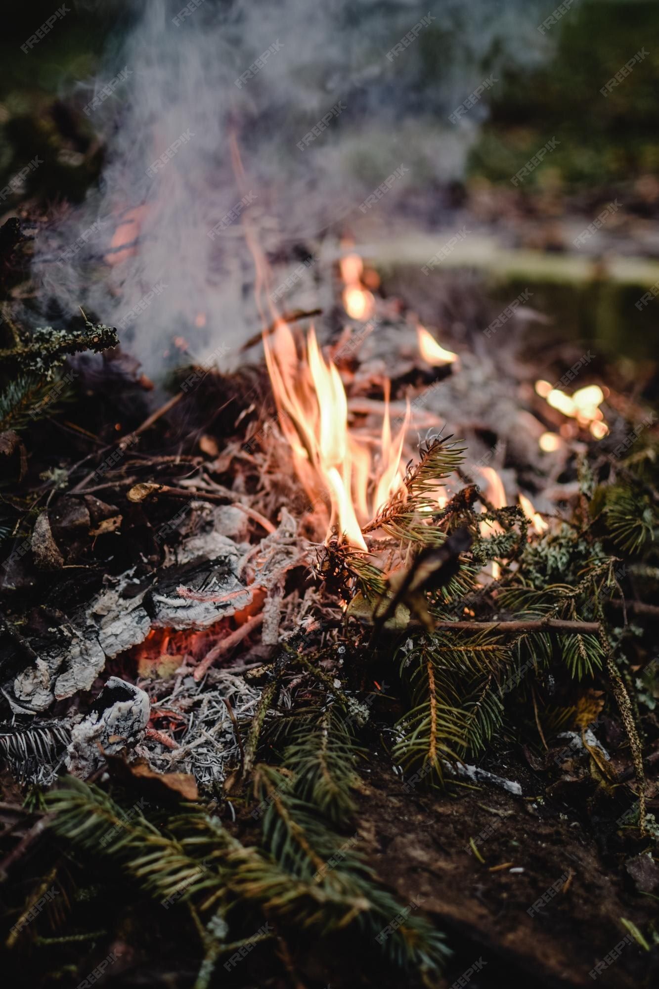 Glimmendes Feuer, Rauch, Tannenzweige, Asche, Natur, Full HD, Sperrbildschirm fürs iPhone