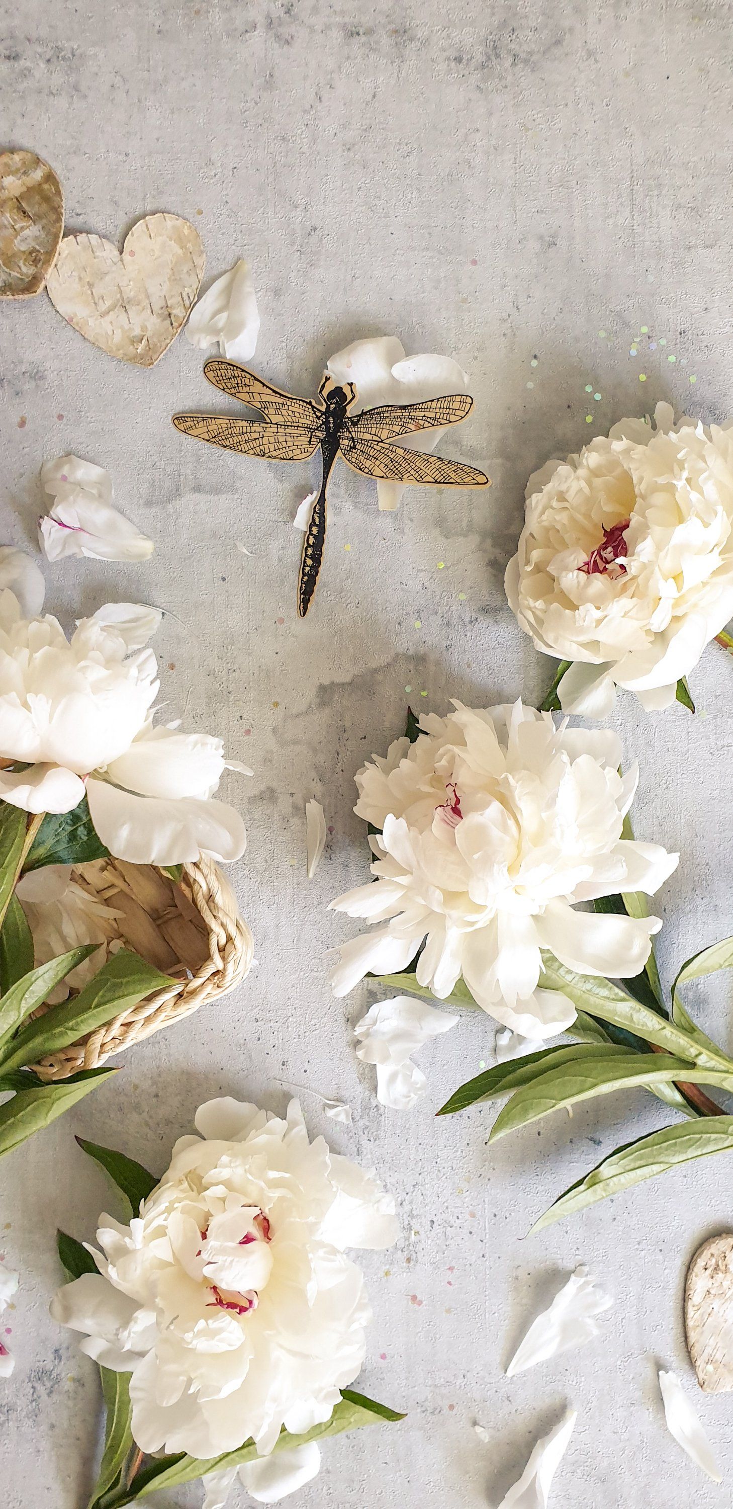 Weiße Pfingstrosen, Libelle, Flatlay, Grau, Blumen, QHD+, Sperrbildschirm fürs iPhone