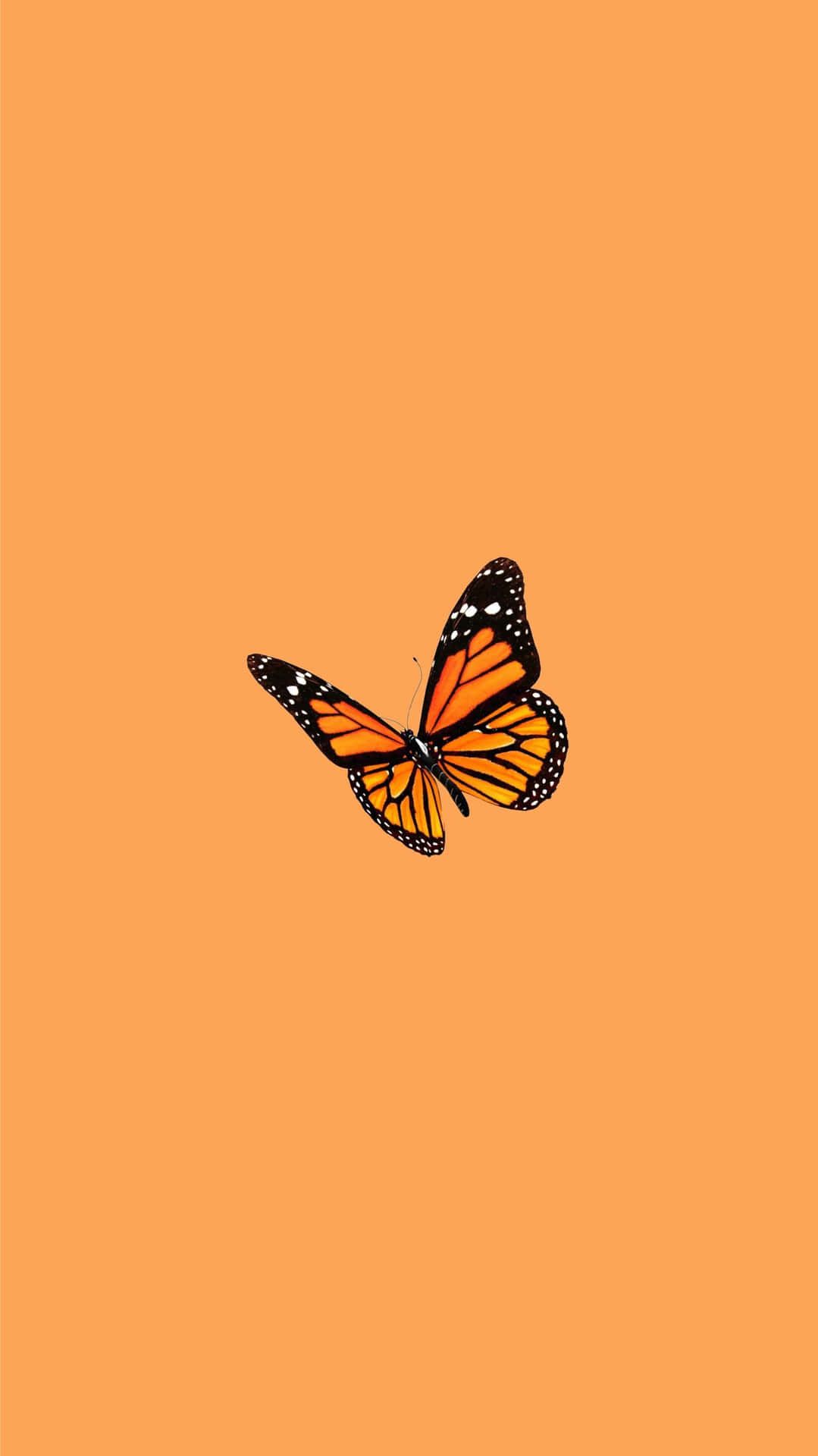 Schmetterling, Monarchfalter, Orange Hintergrund, Minimalistisch, Sperrbildschirm fürs iPhone