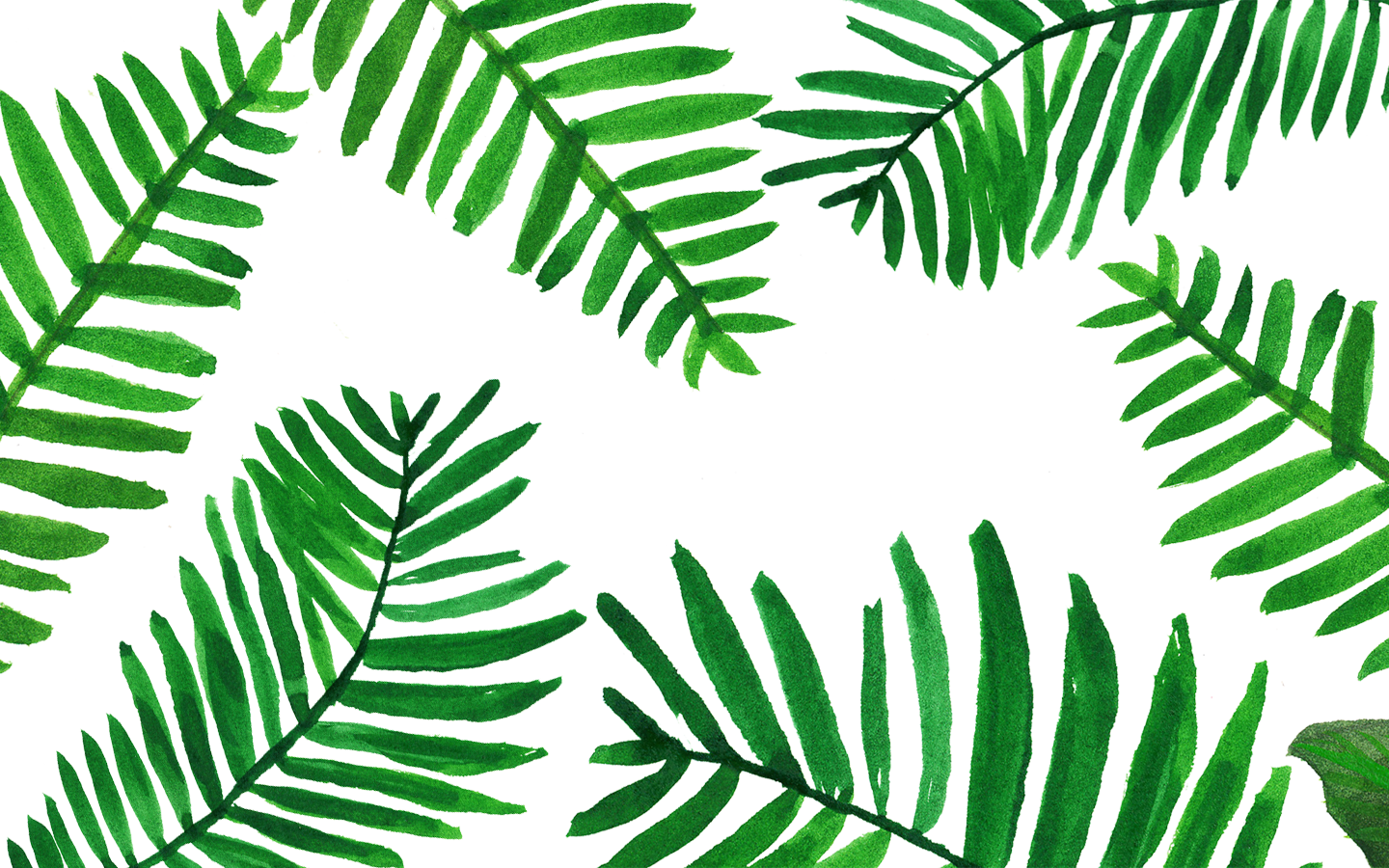 Farnwedel, Palmwedel, Muster, Weißer Hintergrund, Grün, Illustration, HD Wallpaper