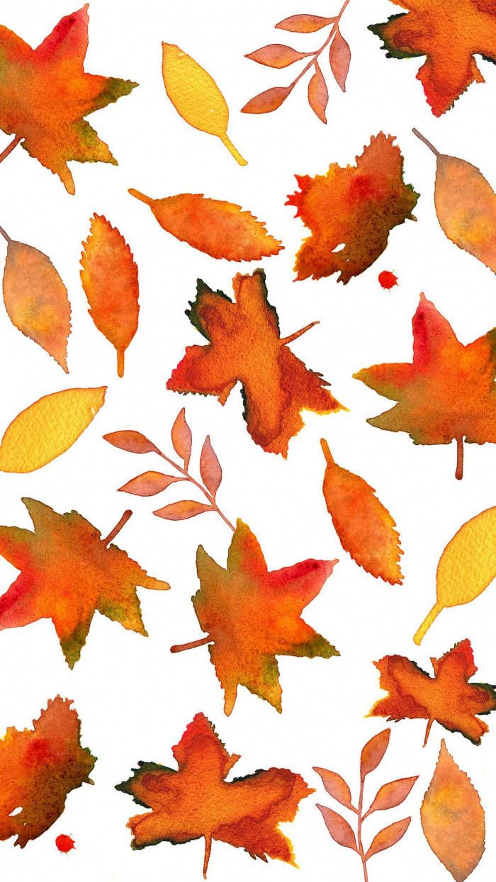 Herbstblätter, Ahornblätter, Orange, Muster, Weißer Hintergrund, Sperrbildschirm fürs iPhone
