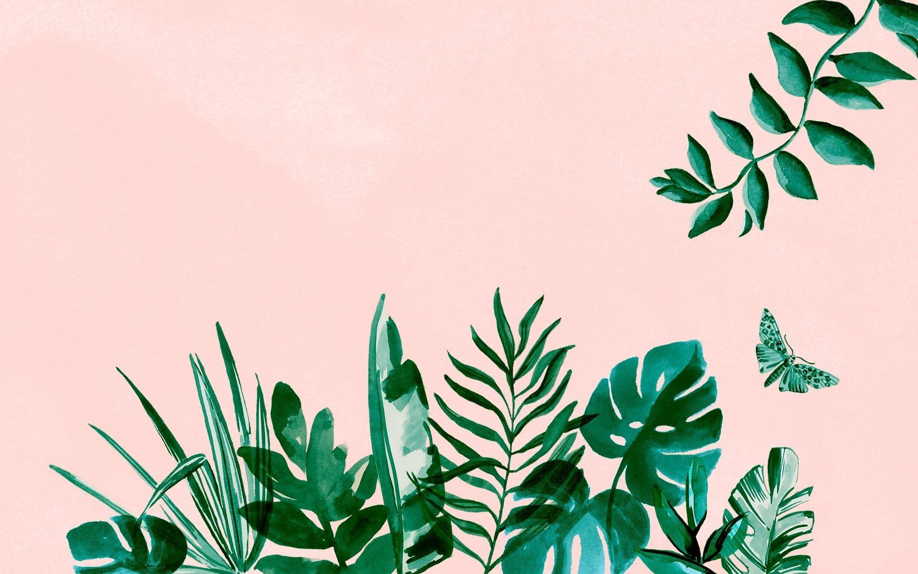 Tropische Pflanzen, Monstera, Schmetterling, Rosa Hintergrund, Illustration, Grün, HD Wallpaper