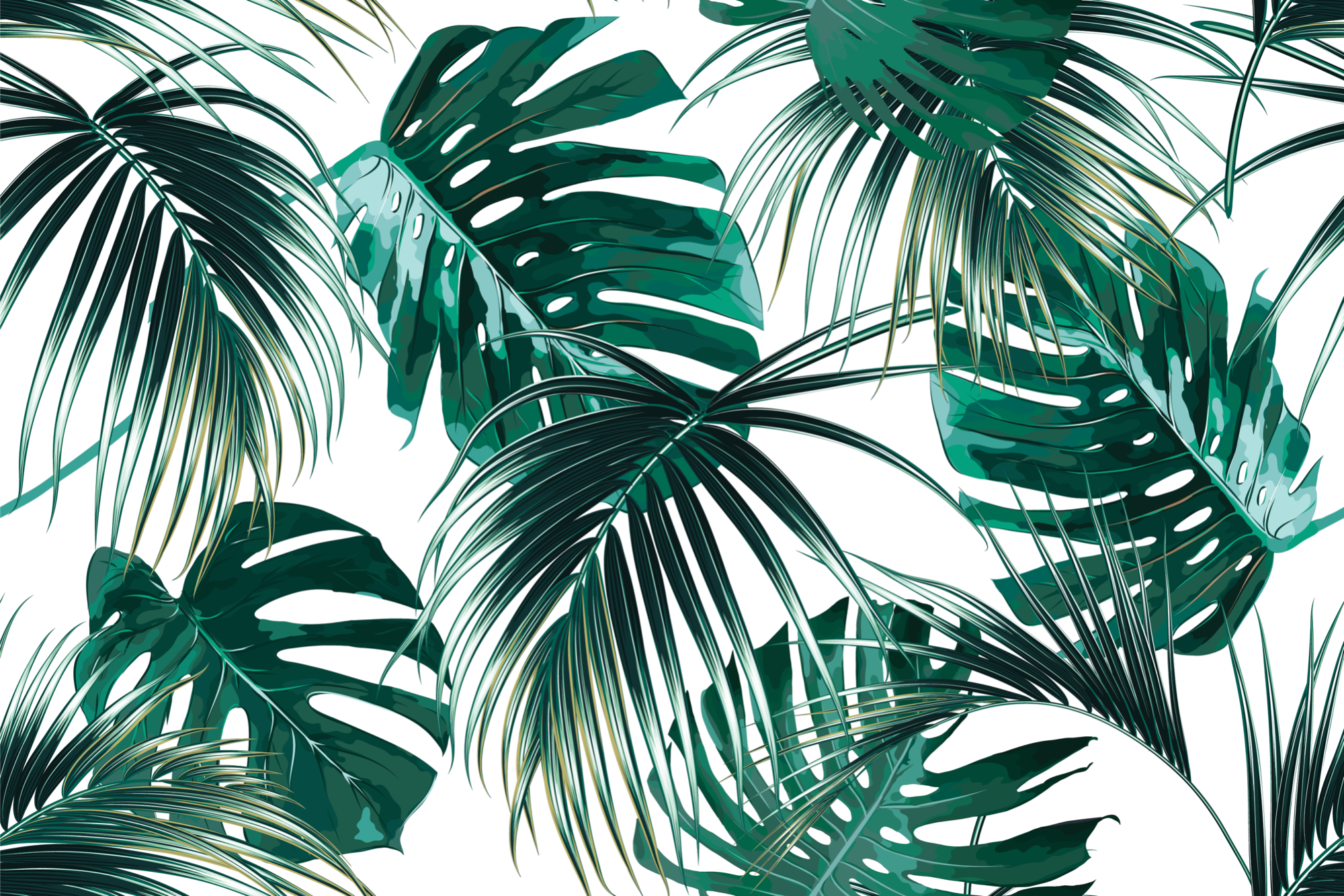 Palmblätter, Monstera, Tropisches Muster, Weißer Hintergrund, Dunkelgrün, Full HD Wallpaper
