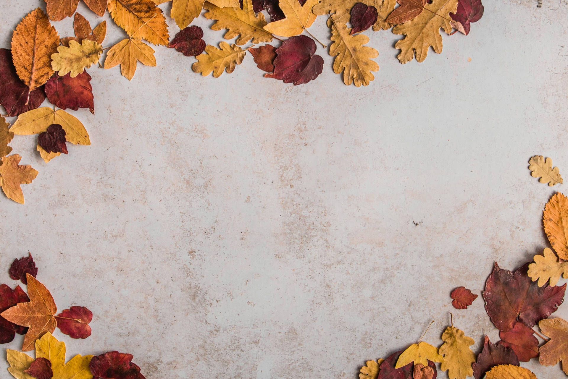 Herbstblätter, Rahmen, Steinoberfläche, Beige, Herbst, Draufsicht, Full HD, PC-Hintergrundbild