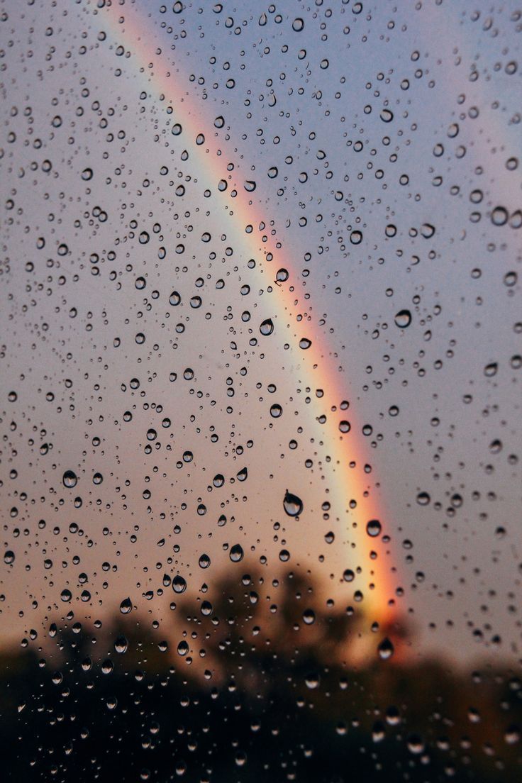 Regentropfen, Fensterscheibe, Regenbogen, Abendhimmel, Bäume, Android-Hintergrundbild