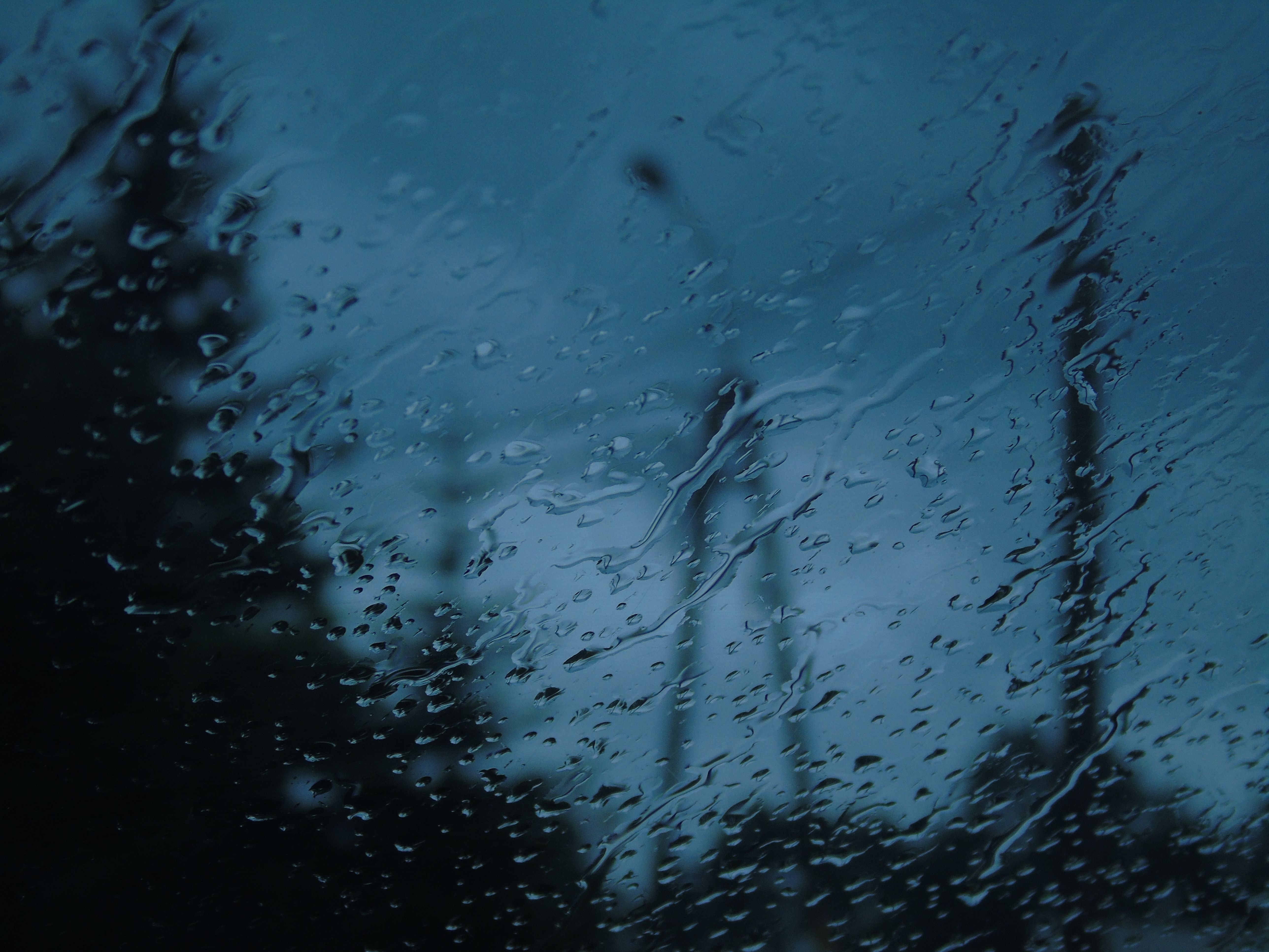 Regenscheibe, Bäume, Strommast, Blaue Stunde, Unscharf, Hintergrundbild für iPad und Tablet