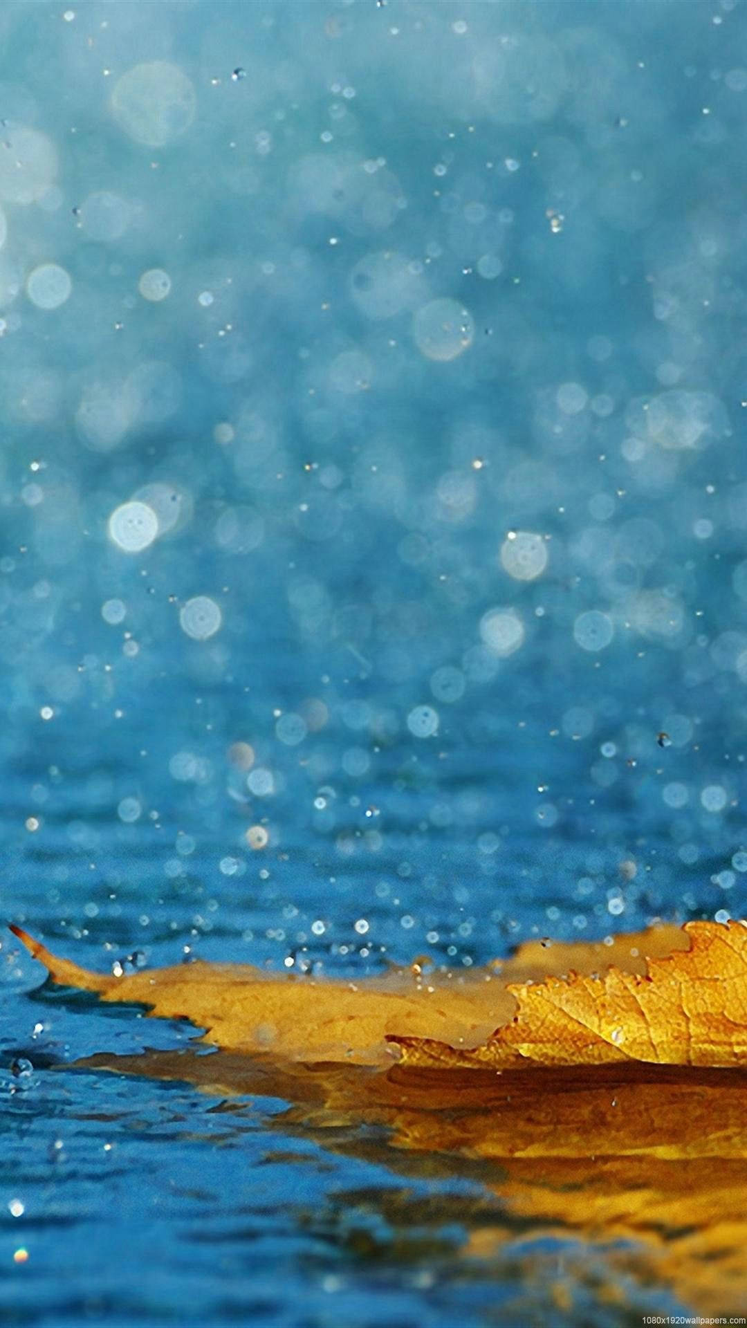 Regentropfen, Wasseroberfläche, Gelbes Blatt, Blau, Bokeh, Full HD, Handy-Hintergrundbild