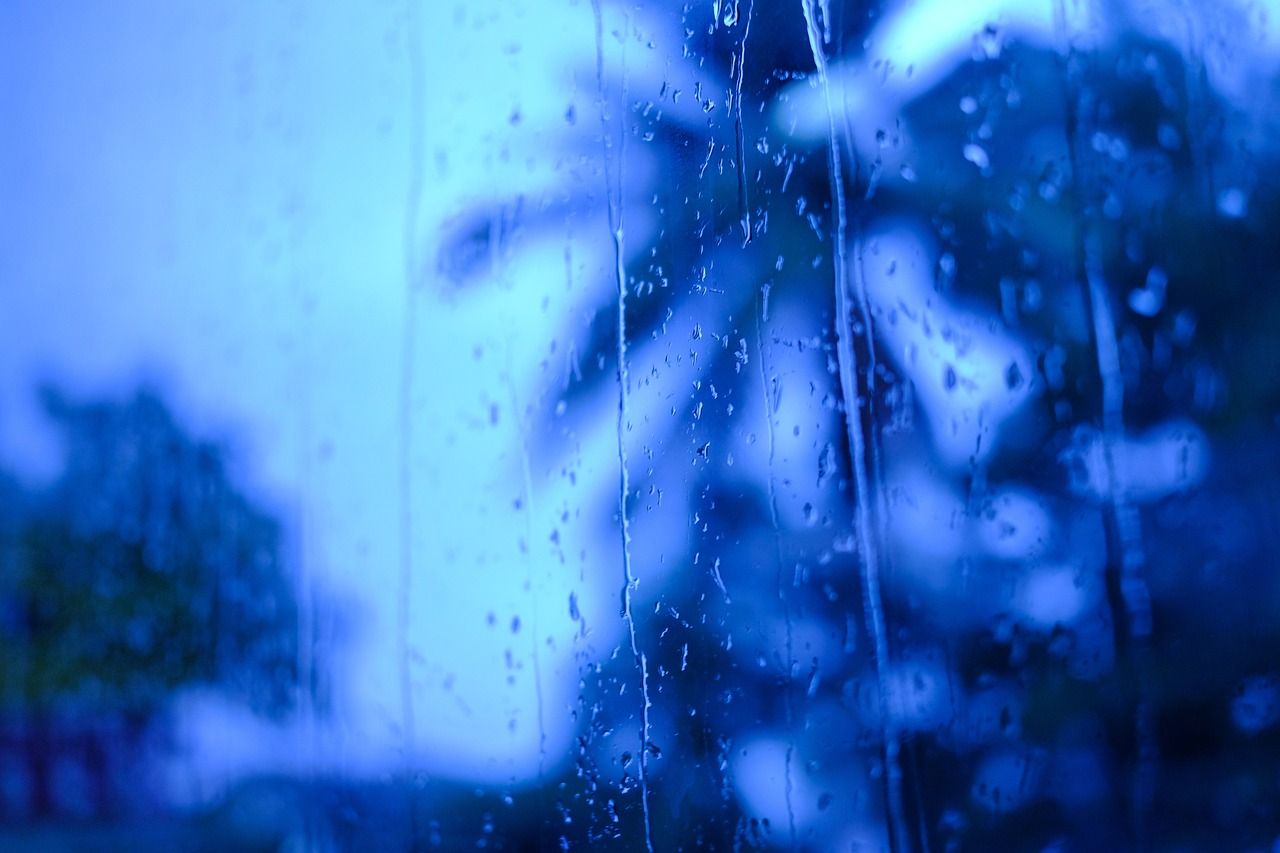 Regentropfen, Palmen, Blau, Unscharf, Fensterscheibe, HD, Hintergrundbild für den PC