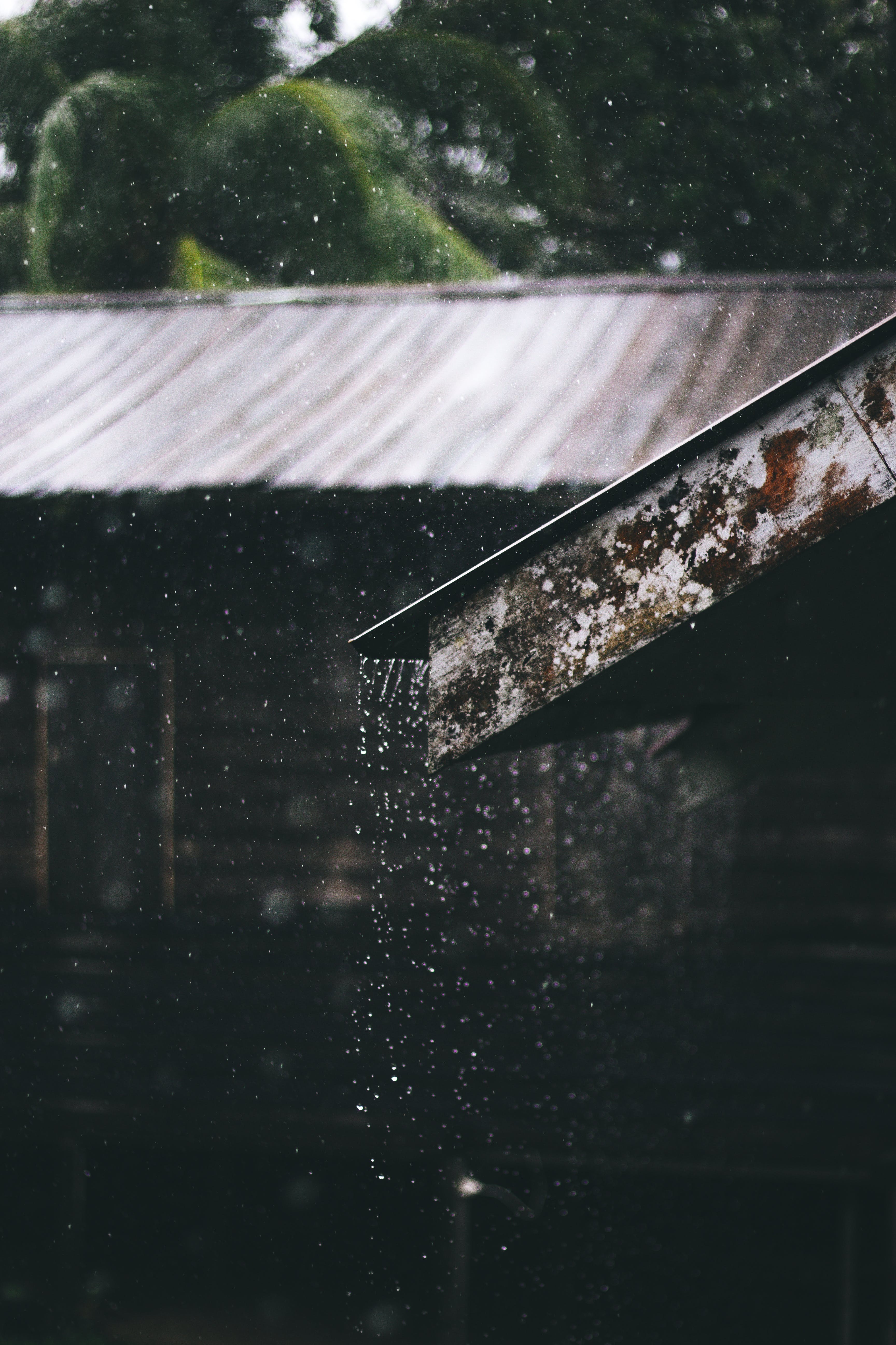 Regenschauer, Dach, Bäume, Dunkel, Starkregen, QHD+, Hintergrundbild fürs Handy