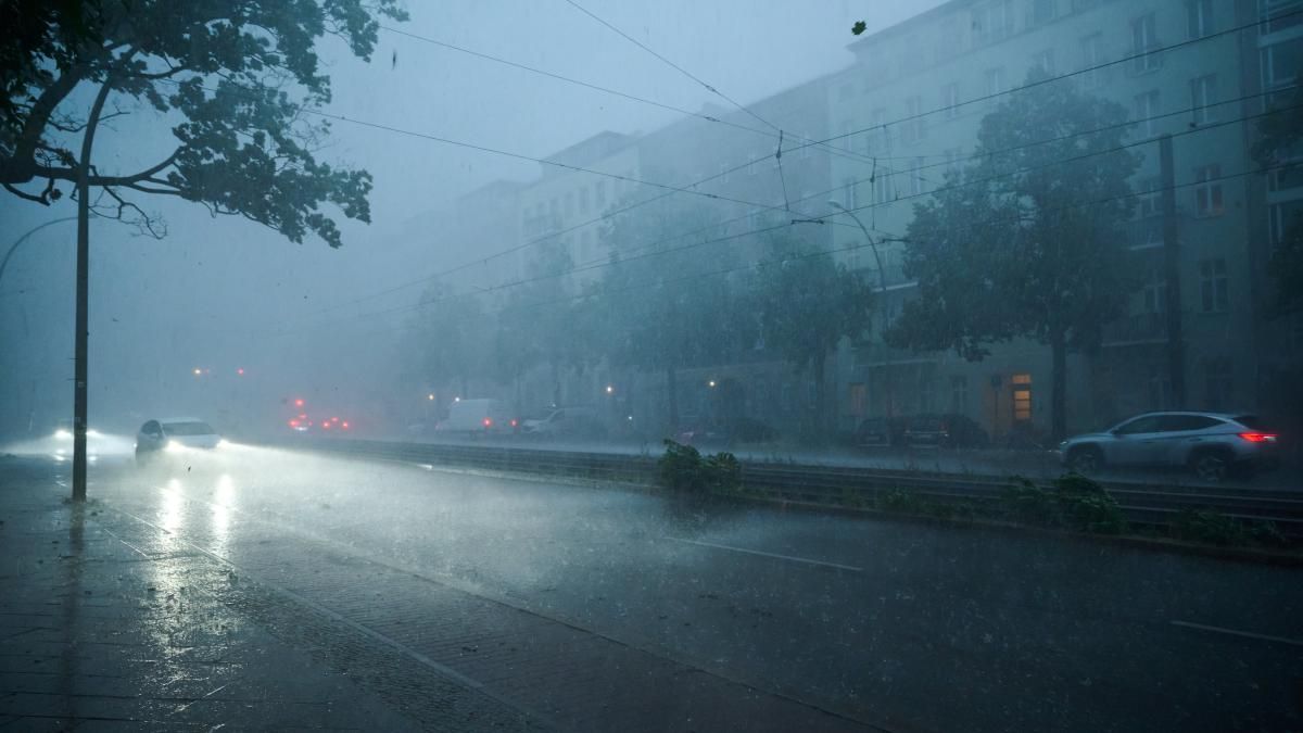 Starkregen, Straße, Autos, Nebel, Bäume, Hintergrund