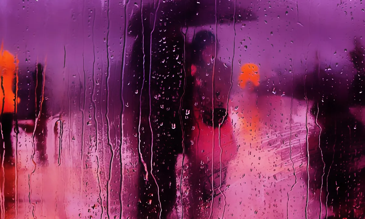 Regentropfen, Silhouetten, Pink, Lila, Fensterscheibe, Hintergrundbild