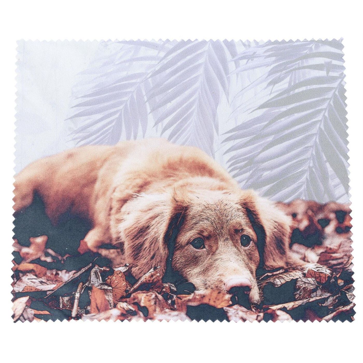 Golden Retriever, Herbstlaub, Palmblätter, Ruhend, HD, iPad-Hintergrundbild