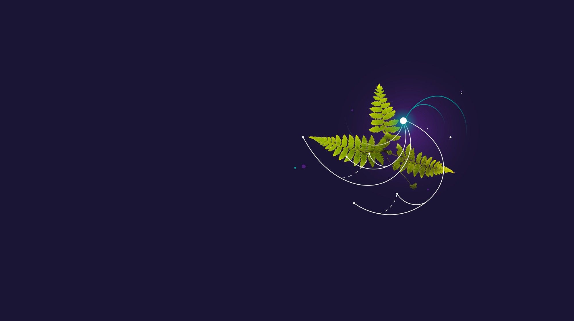 Farn, Lichtlinien, Dunkelblau, Grafik, 16:9, Full-HD-Hintergrundbild für den Desktop