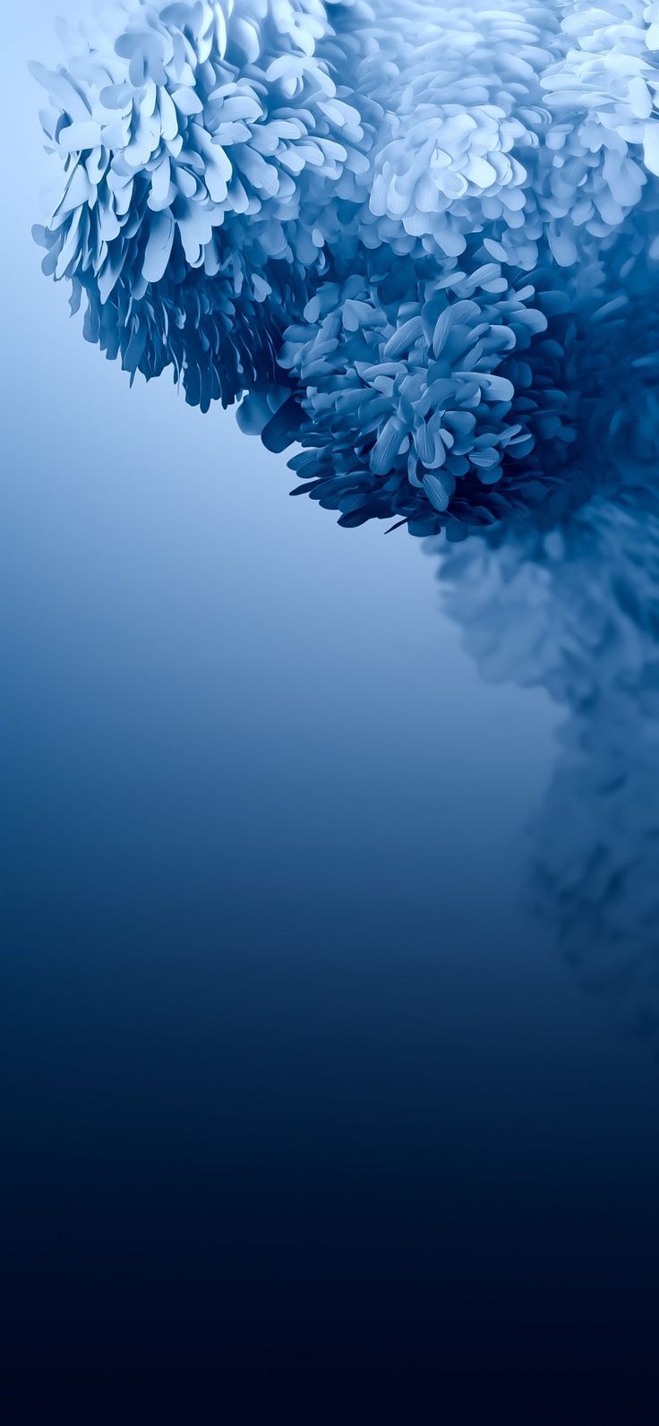 Korallen, Blauer Farbverlauf, Abstrakt, Unterwasser, HD, Hintergrundbild fürs Handy