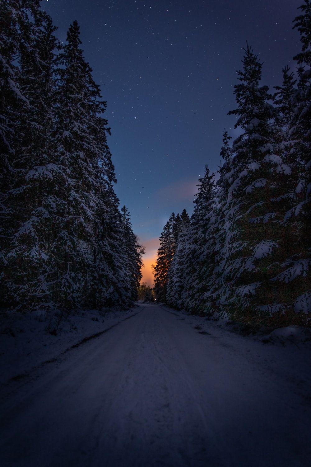 Verschneiter Waldweg, Tannen, Abendrot, Nacht, Dunkelblau, HD, iPhone-Hintergrundbild