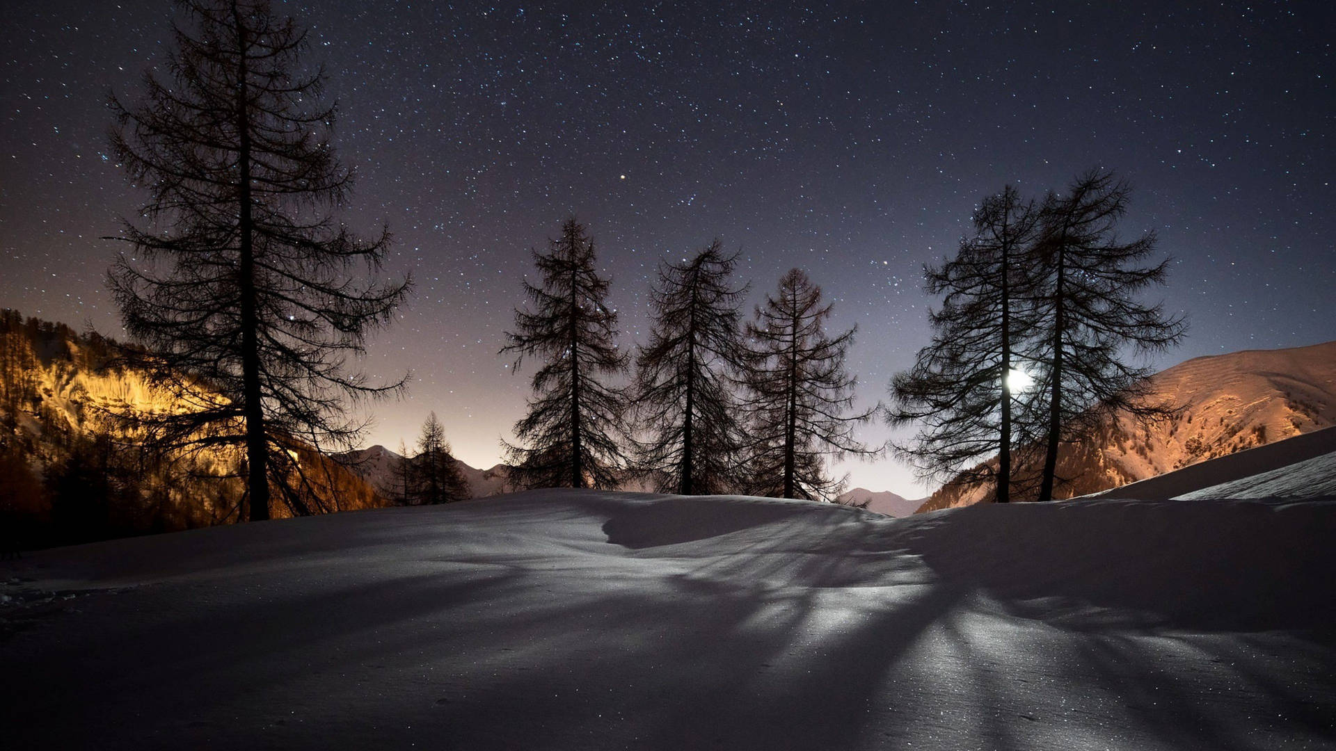 Lärchen, Sternenhimmel, Mondlicht, Schneefeld, Nacht, Schatten, 1920x1080, Desktop-Hintergrund