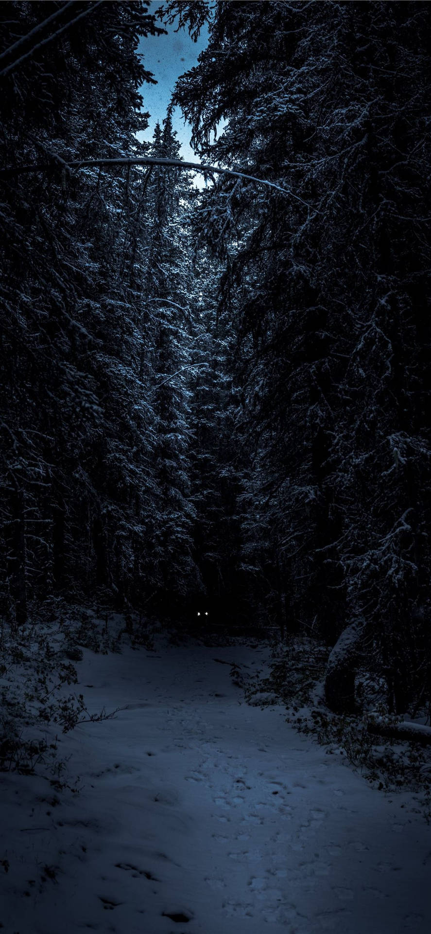 Bach, Dunkler Wald, Schnee, Nacht, Schmal, Hochformat, Hintergrundbild fürs Smartphone
