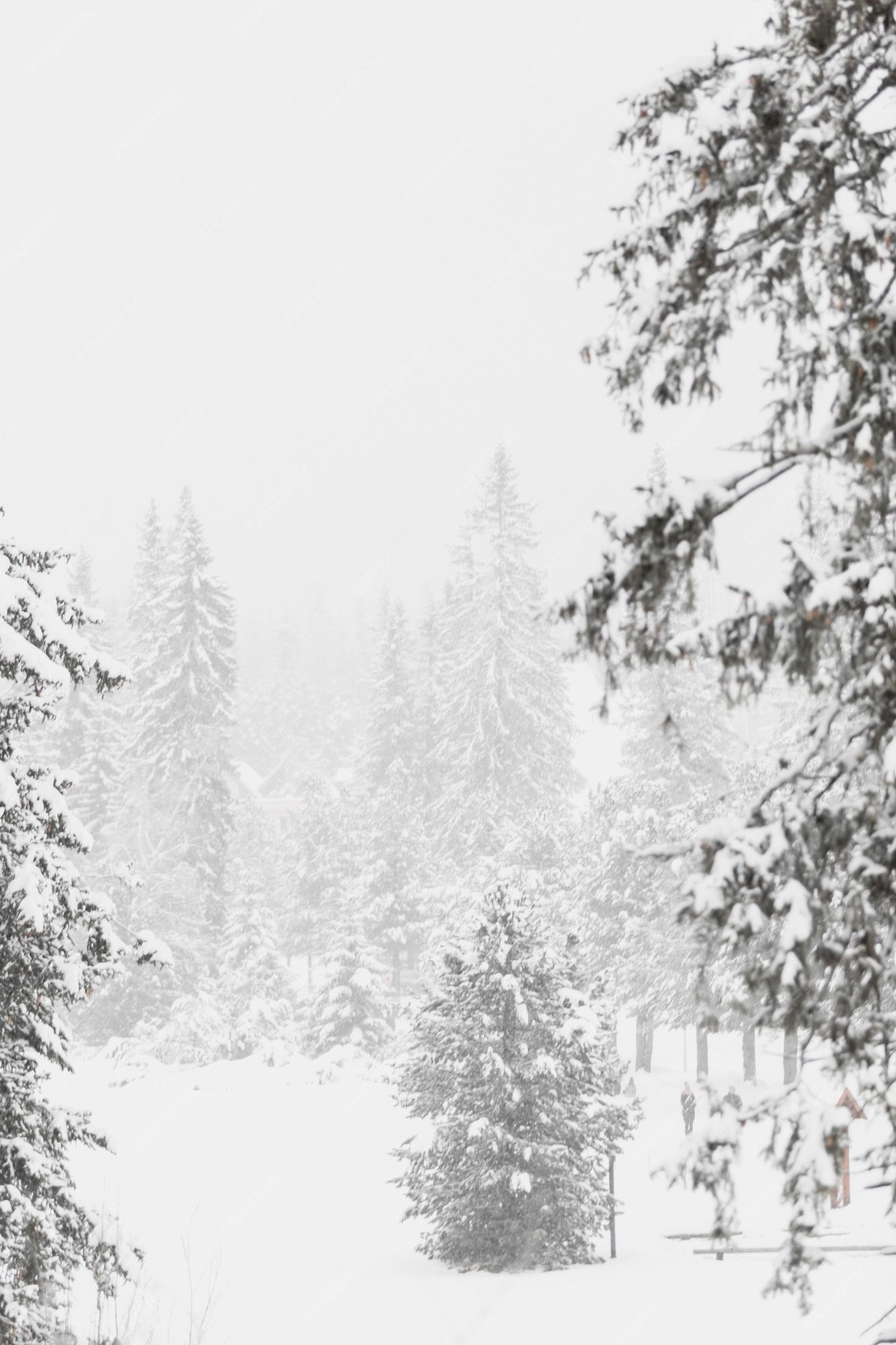 Nebel, Tannen, Schneefall, Weiß, Ruhe, Full HD, Handy-Hintergrund im Hochformat