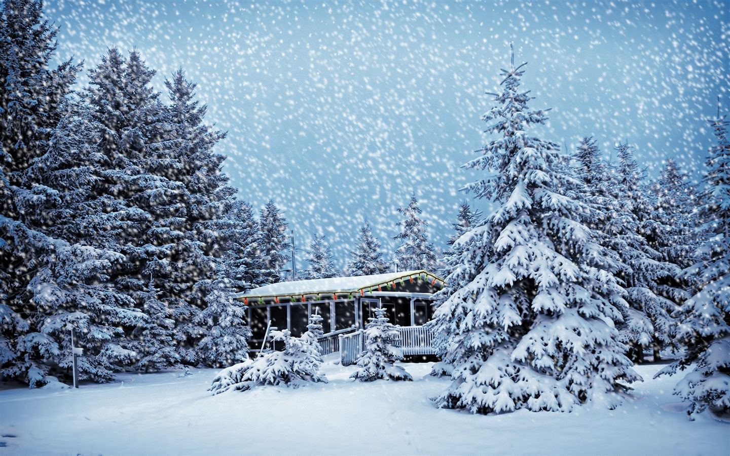 Hütte, Verschneite Tannen, Schneefall, Tiefschnee, Blau, HD, Windows-Hintergrundbild
