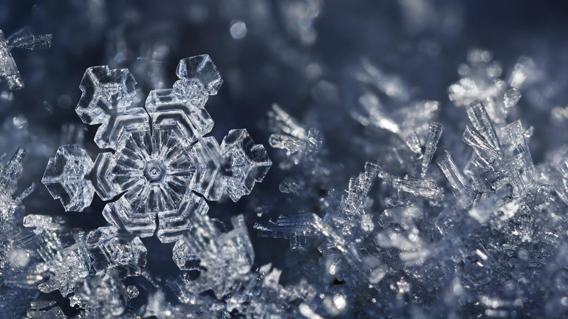Schneeflocken, Eiskristalle, Makro, Dunkler Hintergrund, Blaugrau, Full HD Wallpaper