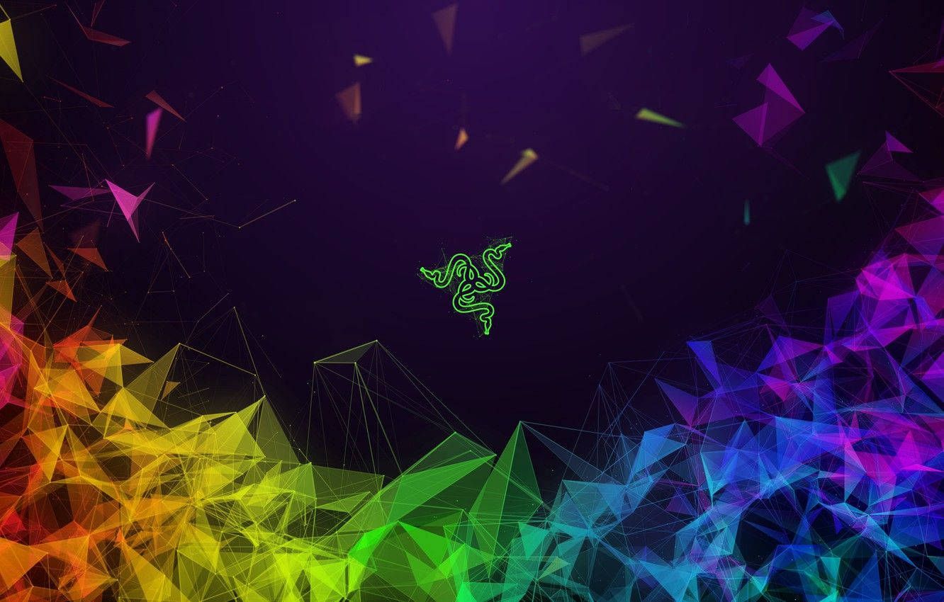 Razer, Razer Chroma, Low Poly, Regenbogen, Lila, HD, Desktop-Hintergrund für Windows