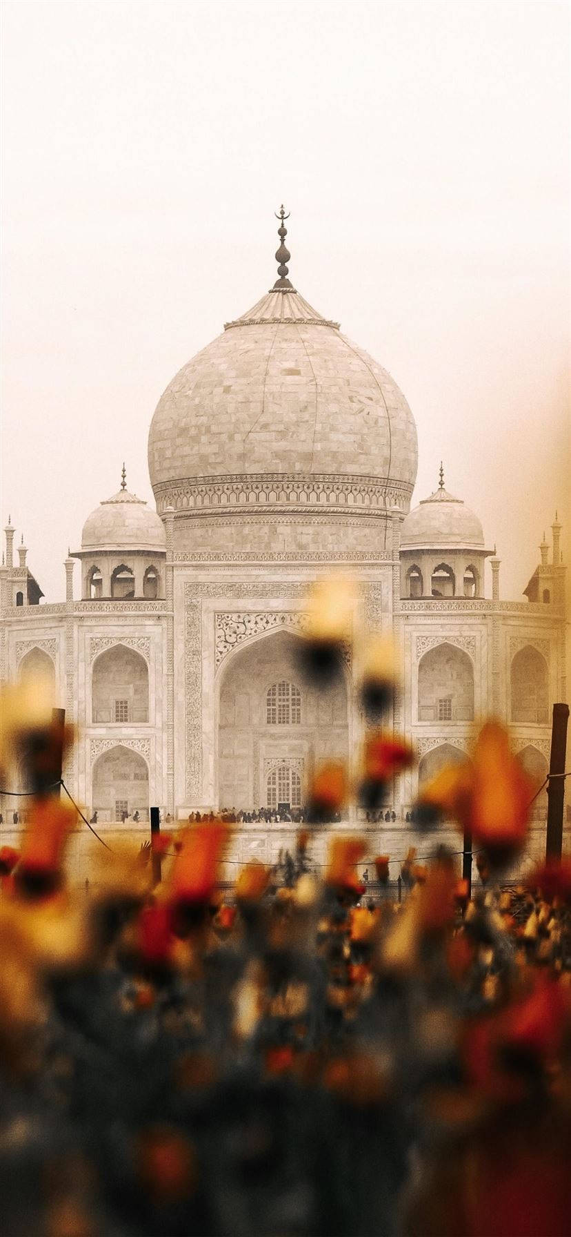 Taj Mahal, Agra, Indien, Blumen, Unschärfe, Morgenlicht, HD, Handy-Hintergrundbild