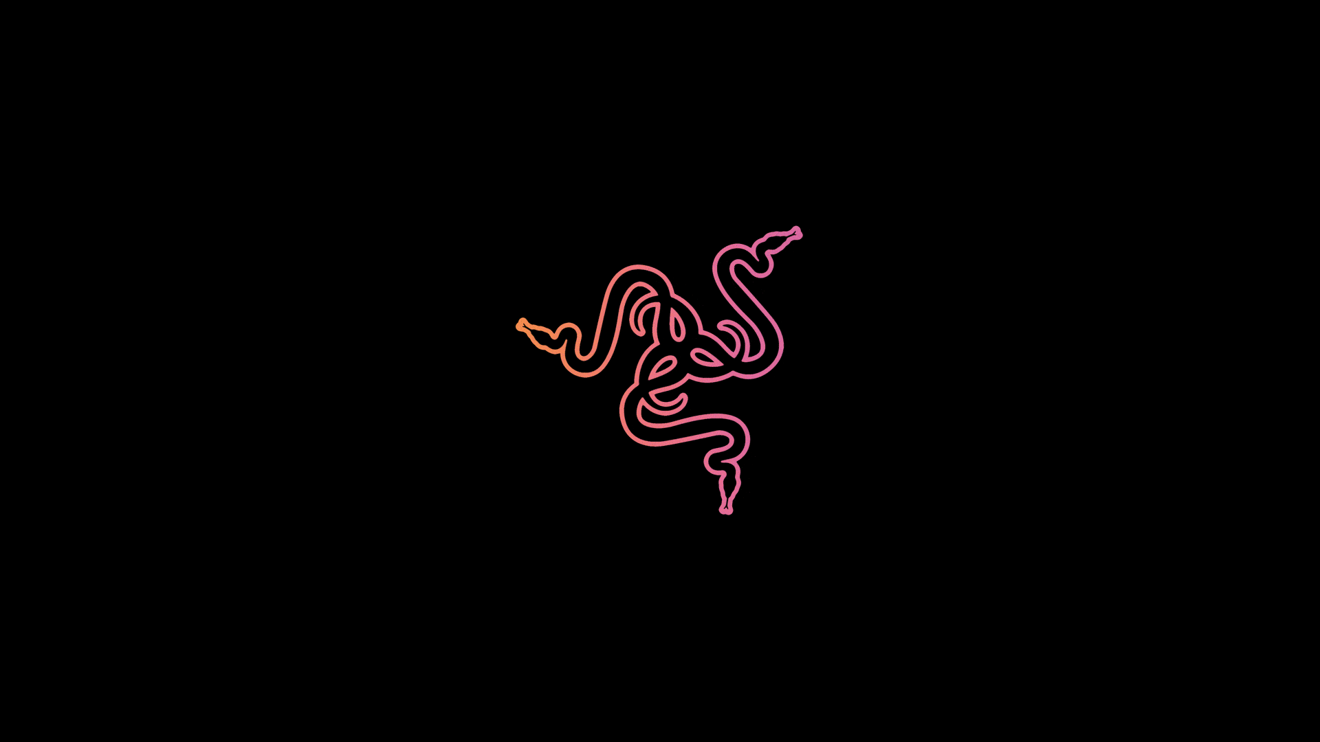 Razer, Rosa Neon, Schwarzer Hintergrund, Minimalistisch, Full HD Wallpaper