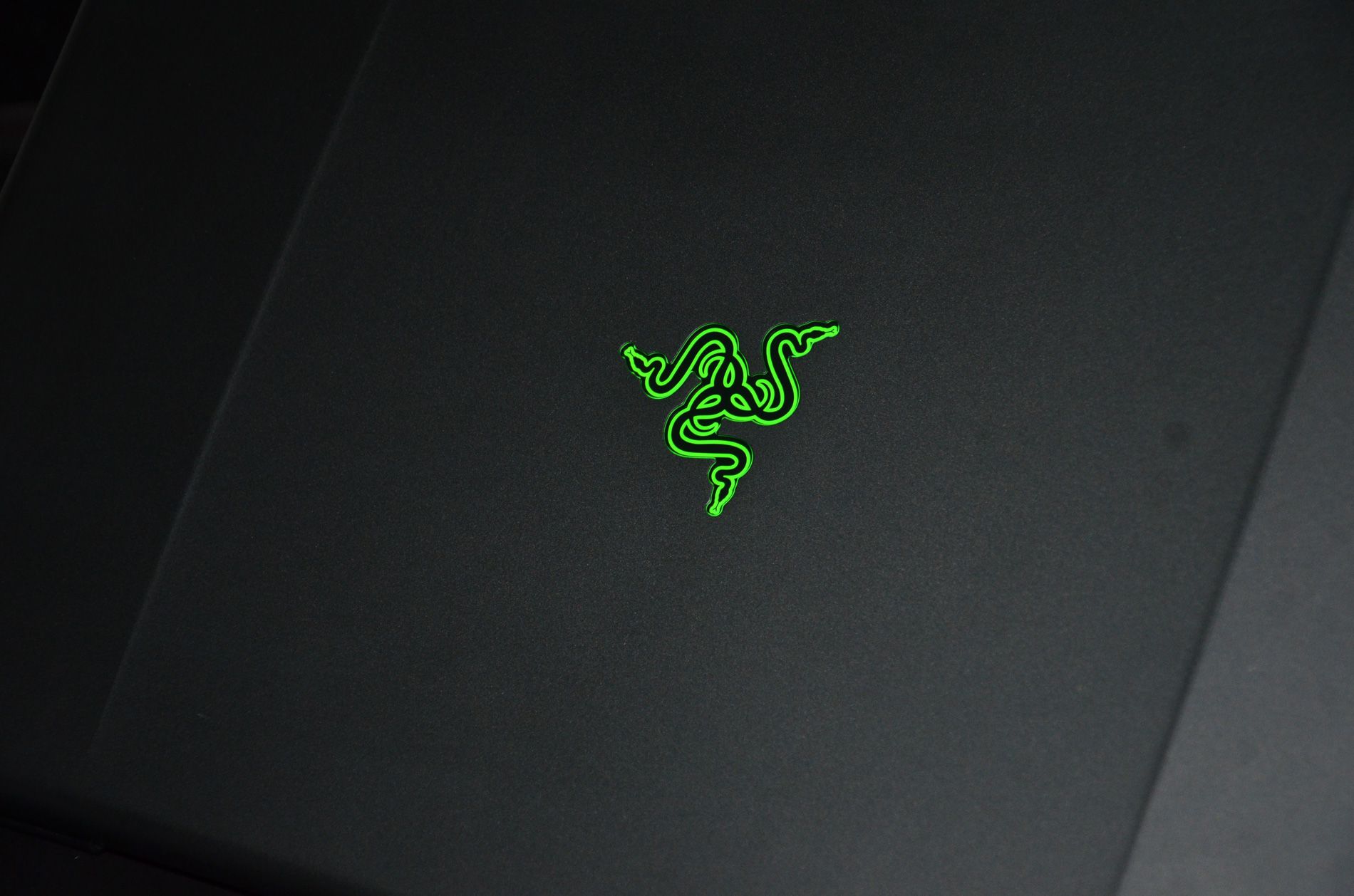 Razer, Grünes Logo, Grauer Hintergrund, Laptop-Deckel, HD Wallpaper