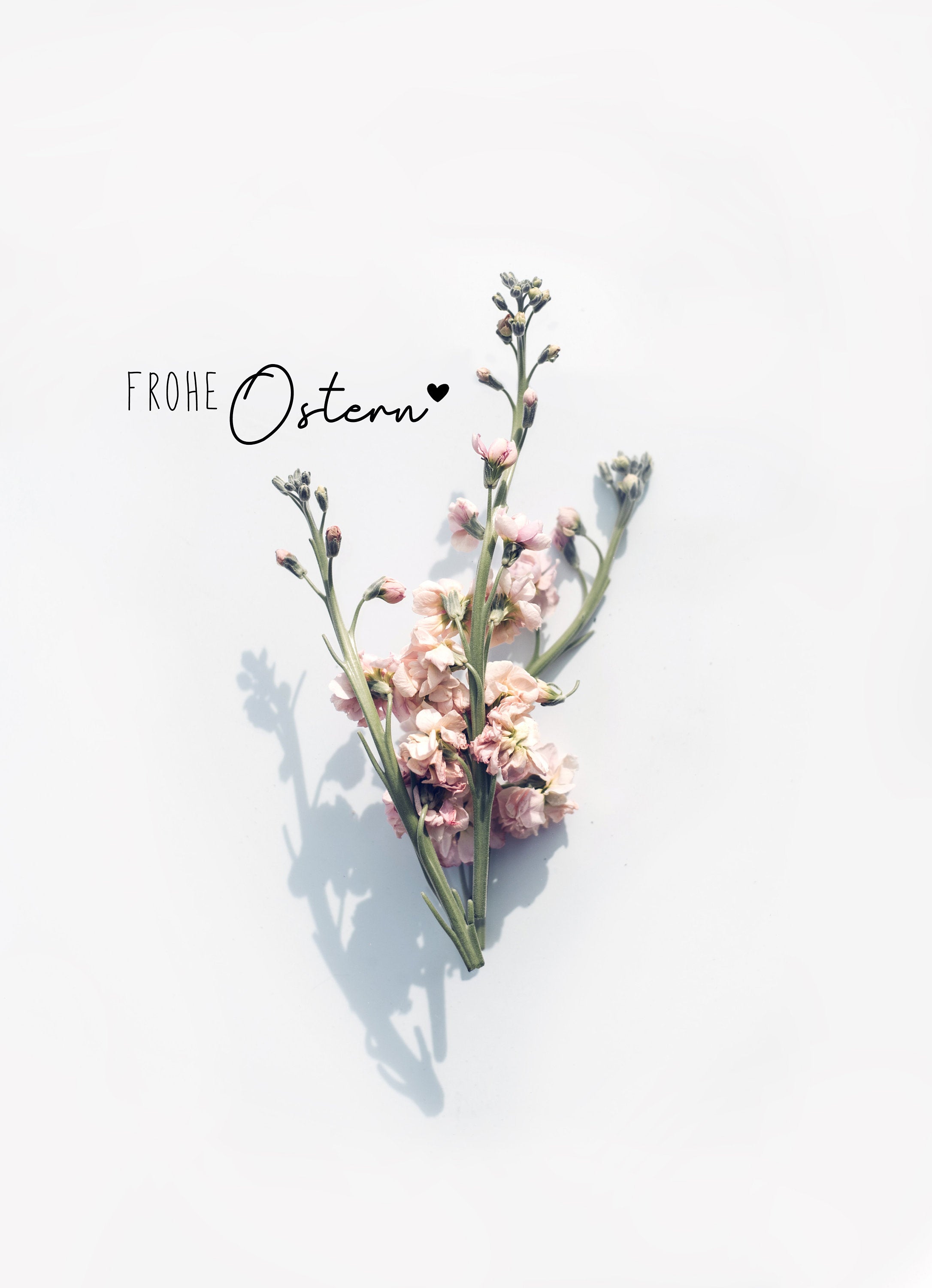 Frohe Ostern, Blumenstrauß, Weißer Hintergrund, Minimalistisch, QHD+ Wallpaper