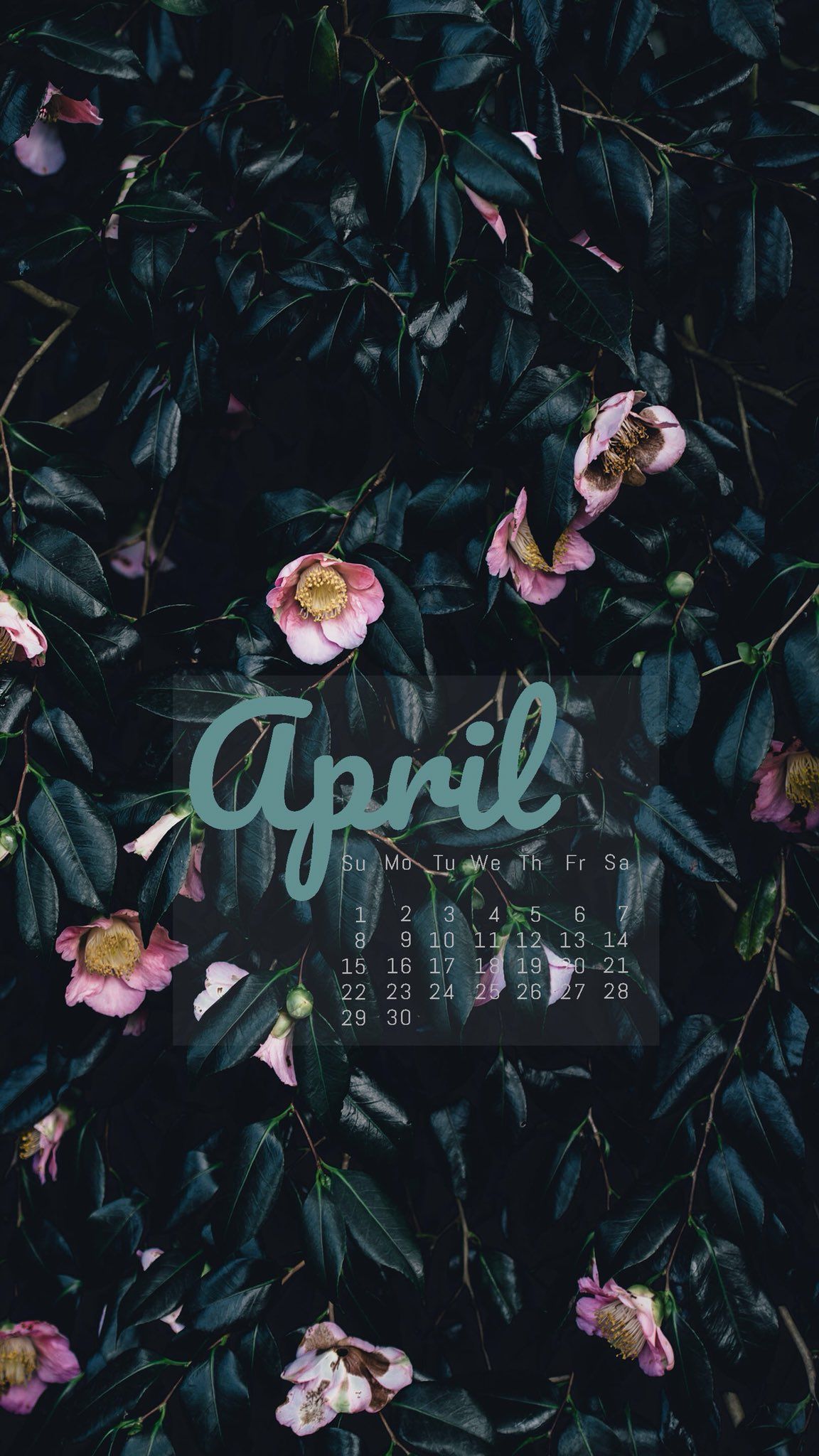 April, Blumen, Dunkelgrün, Schriftzug, Blätter, Full HD, Handy-Hintergrund im Hochformat
