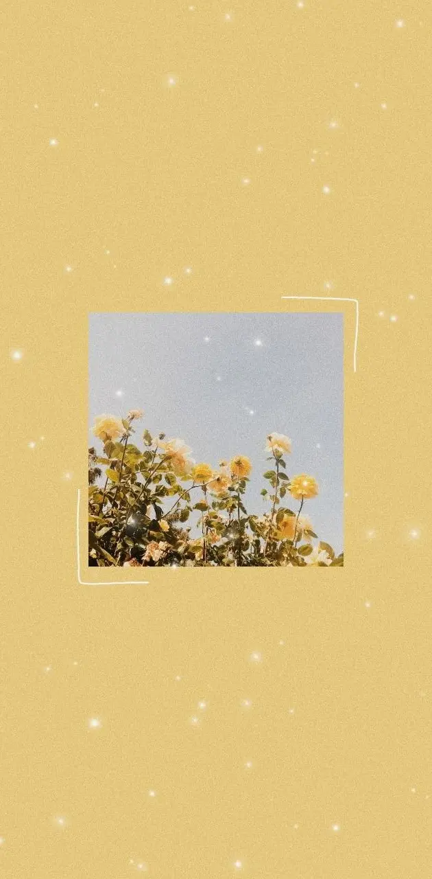 Gelbe Blüten, Himmel, Gelb, Minimalistisch, Bilderrahmen, Android-Hintergrundbild