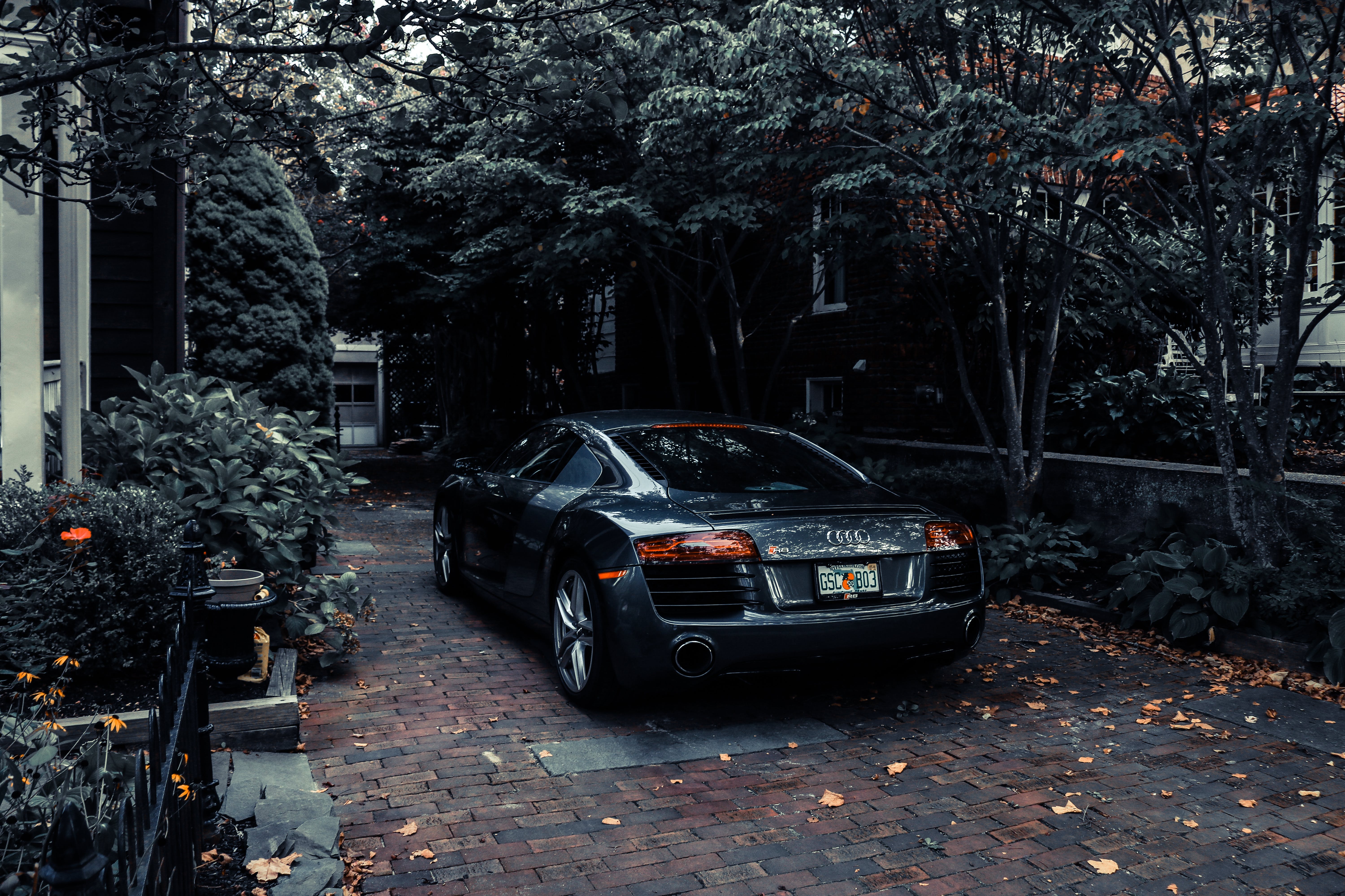 Audi R8, Sportwagen, Einfahrt, Bäume, Entsättigt, 6K, Hintergrundbild für den PC