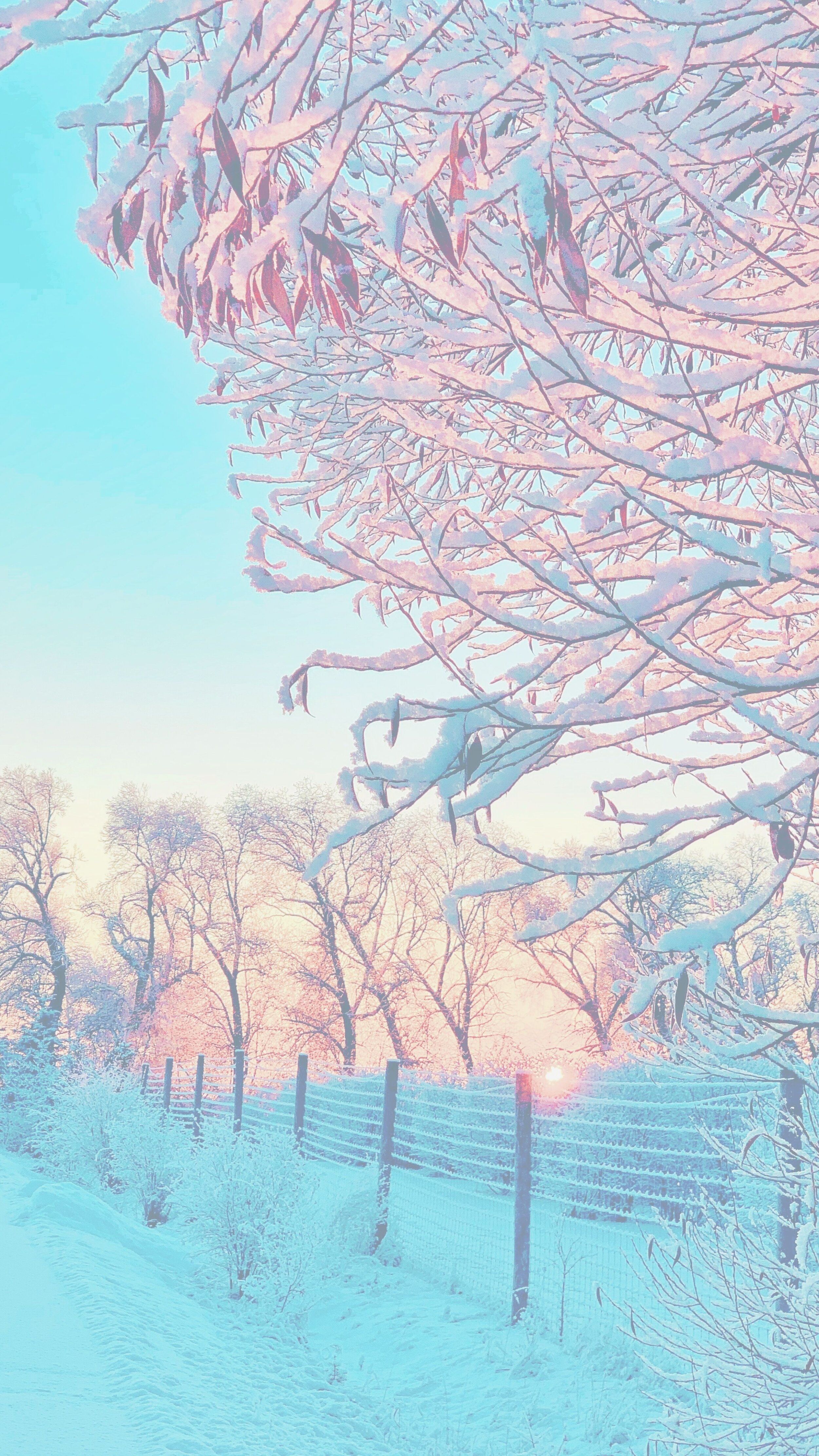Engel, Winterlandschaft, Rosa Bäume, Pastell, Schnee, Kunstfilter, QHD+, Handy-Hintergrund
