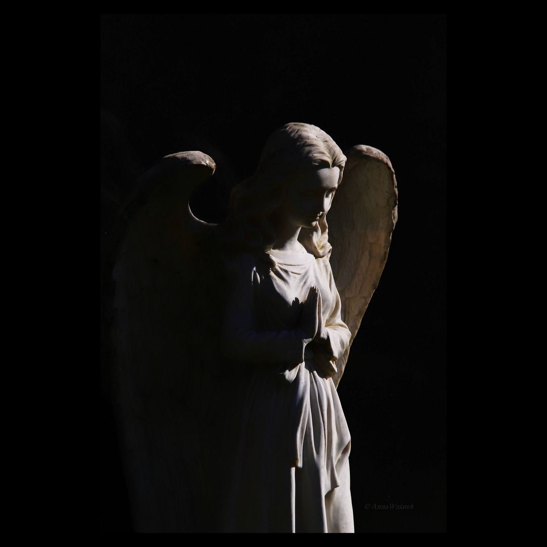 Engelsstatue, Schwarzer Hintergrund, Lichtkegel, Dunkel, Skulptur, Wallpaper