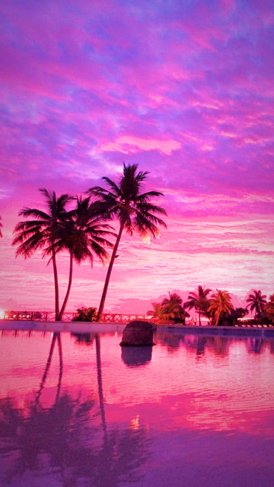 Palmen, Infinity-Pool, Spiegelung, Pinker Himmel, Sonnenuntergang, Tropen, Hintergrundbild fürs iPhone