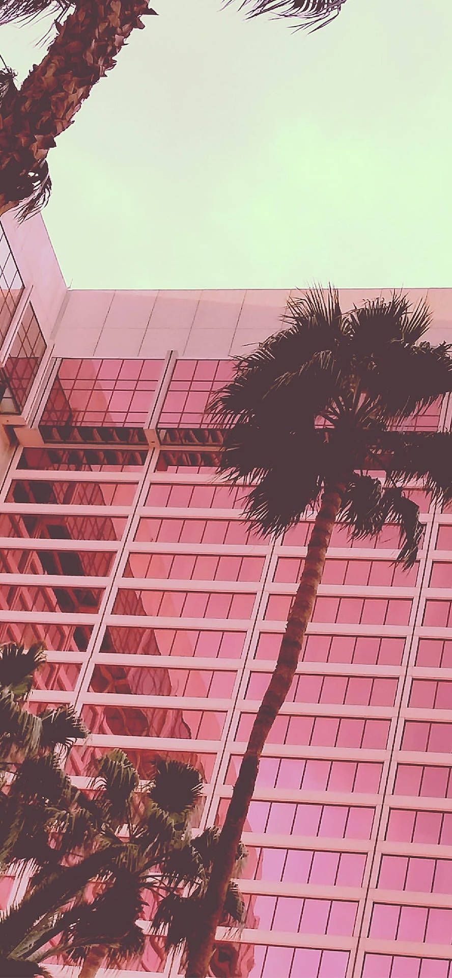 Palmen, Hochhaus, Froschperspektive, Rosa, Mintgrün, HD, Sperrbildschirm fürs iPhone