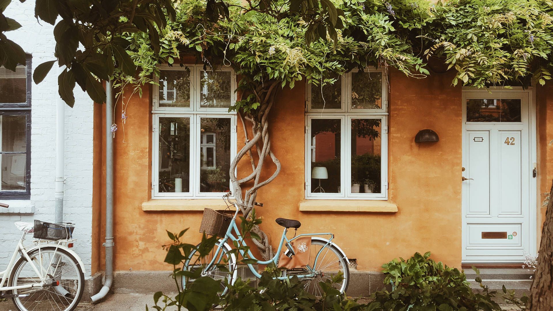 Haus, Fahrräder, Fenster, Efeu, Orange Fassade, Gemütlich, 1920x1080, Desktop-Hintergrund