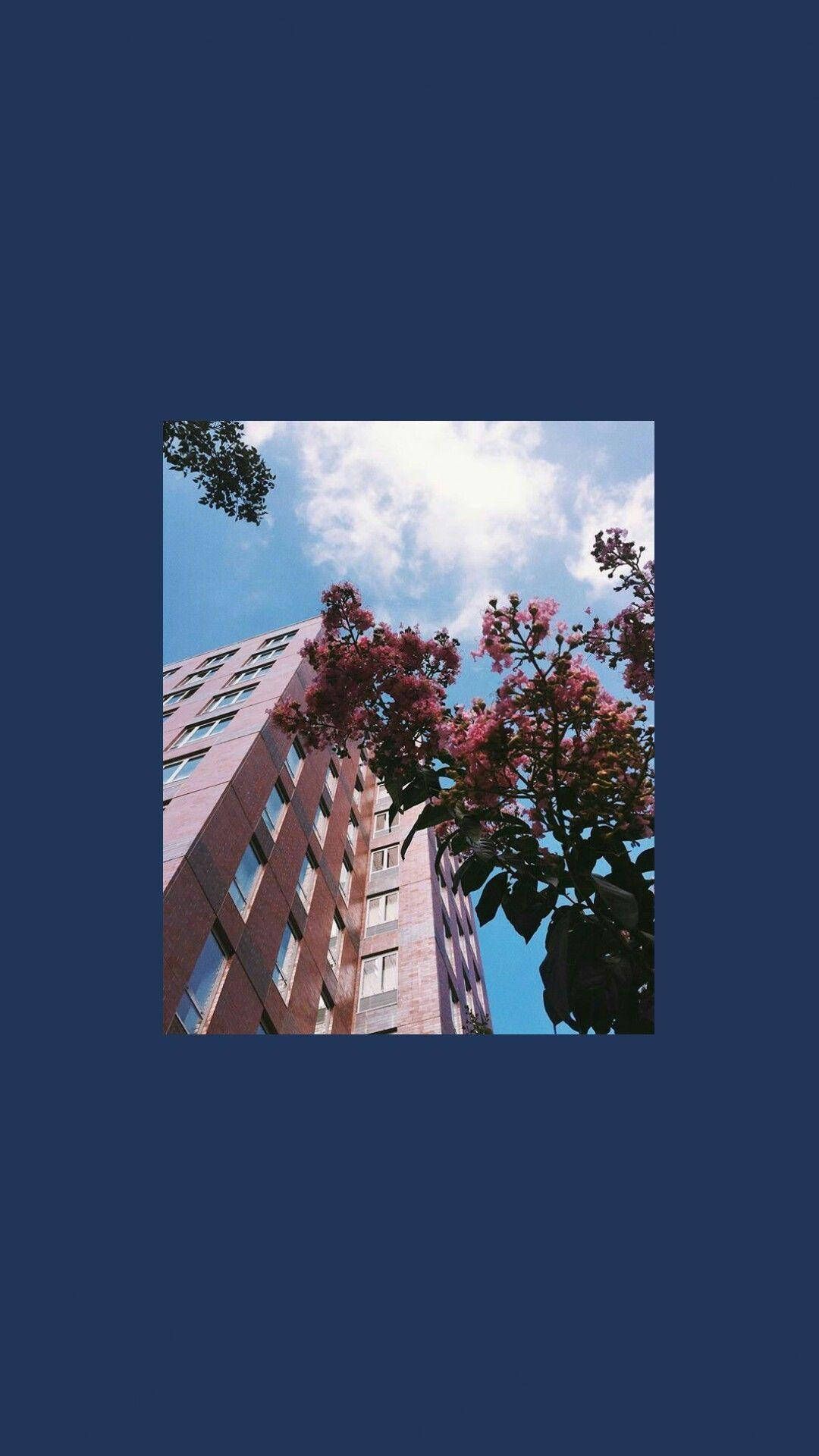 Hochhaus, Blüten, Foto, Dunkelblauer Hintergrund, Minimalistisch, Sperrbildschirm fürs iPhone