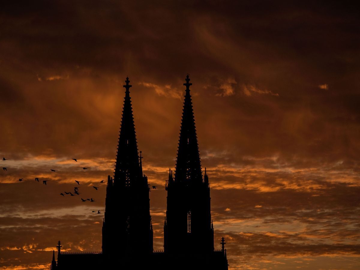 Kölner Dom, Silhouette, Vögel, Dämmerung, Dunkle Töne, Hintergrundbild für iPad und Tablet