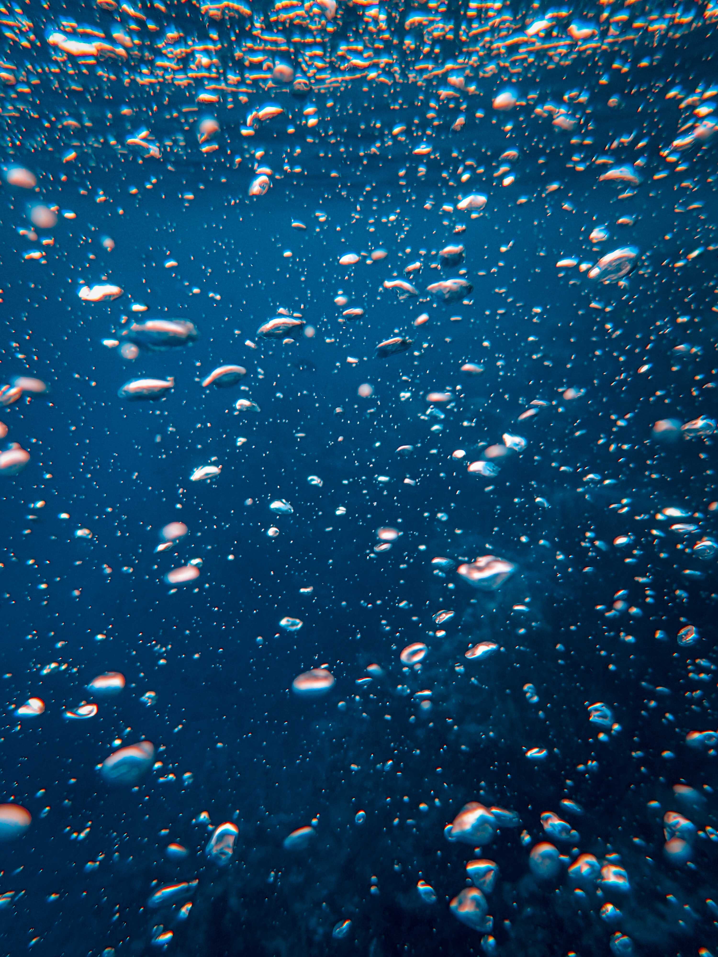 Luftblasen, Tiefblau, Unterwasser, Fischschwarm, QHD+, iPad-Hintergrundbild