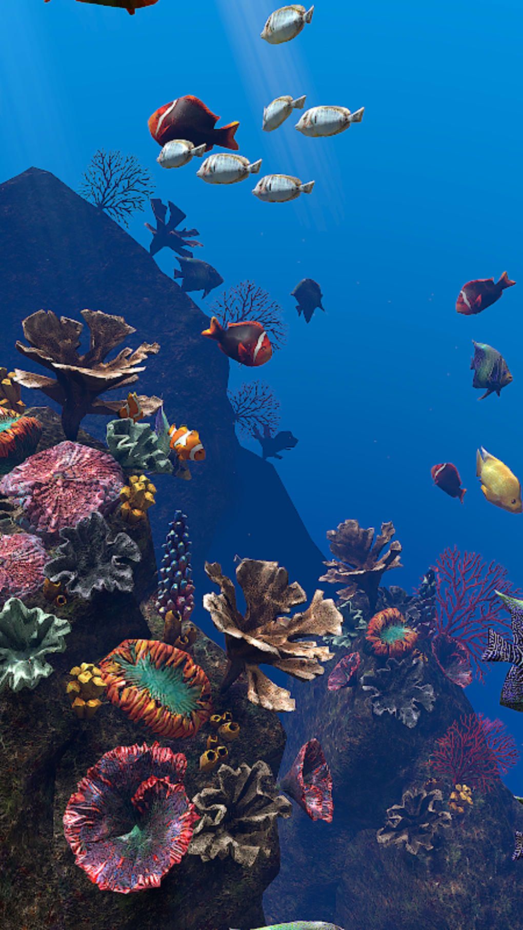 Korallenriff, Tropische Fische, Blaues Wasser, Unterwasser, Sperrbildschirm fürs iPhone